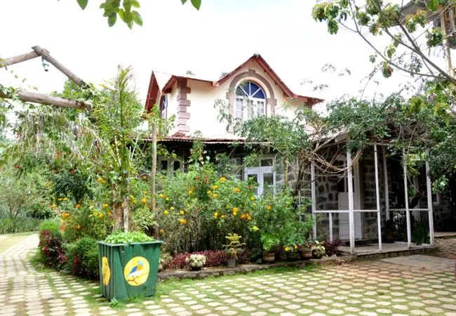 Property building in Lilly's Valley Resort