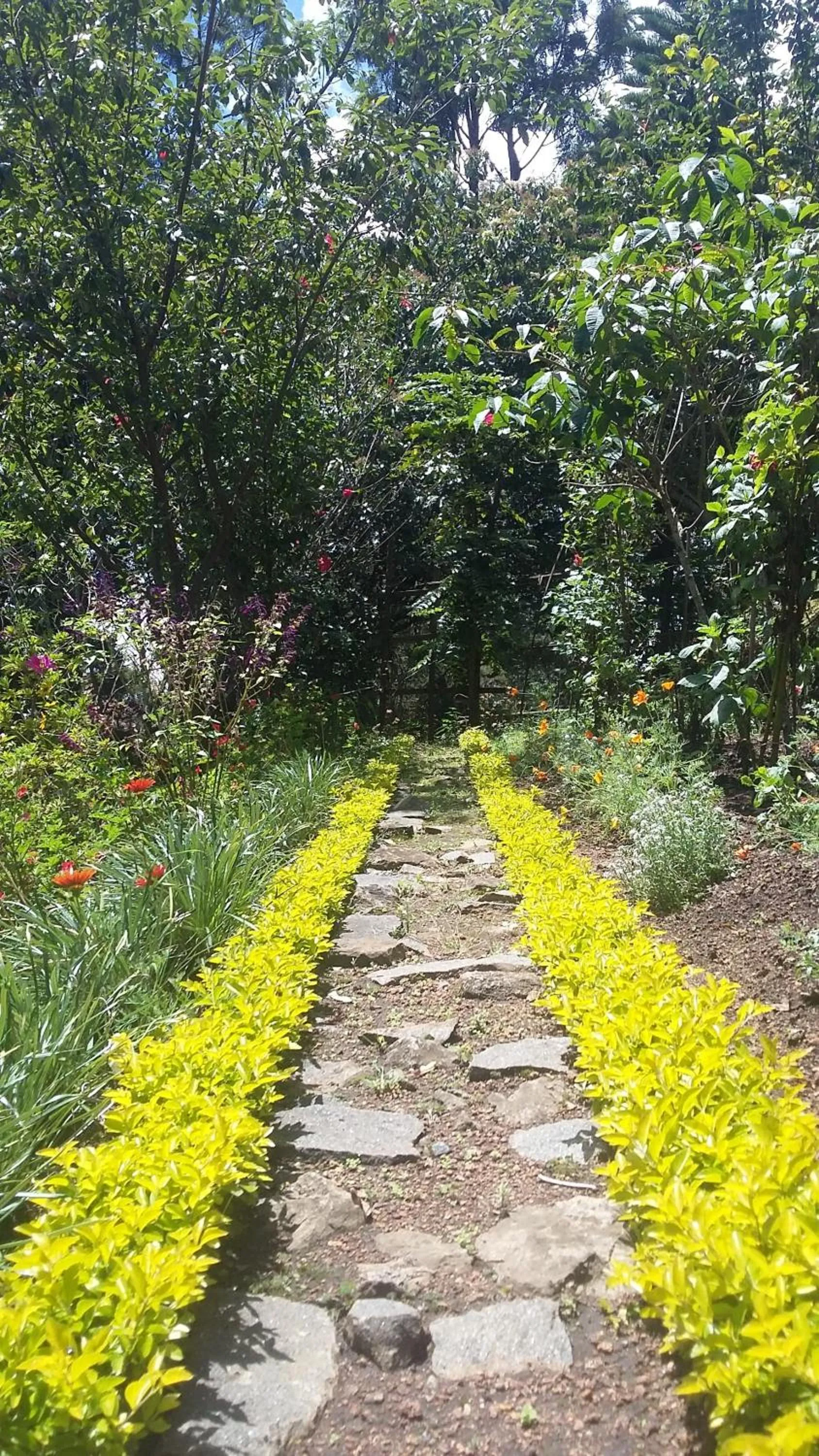 Day in Lilly's Valley Resort