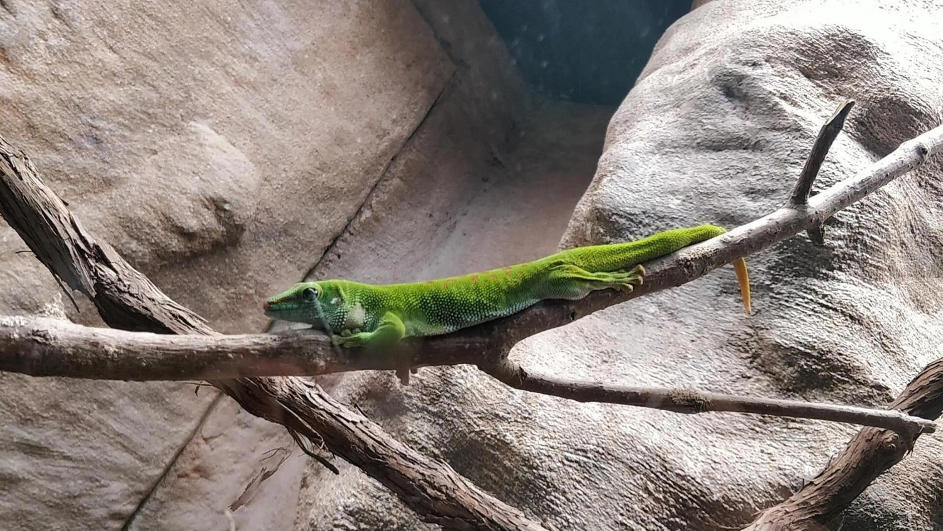 Nearby landmark in Candlewood Suites London South by IHG