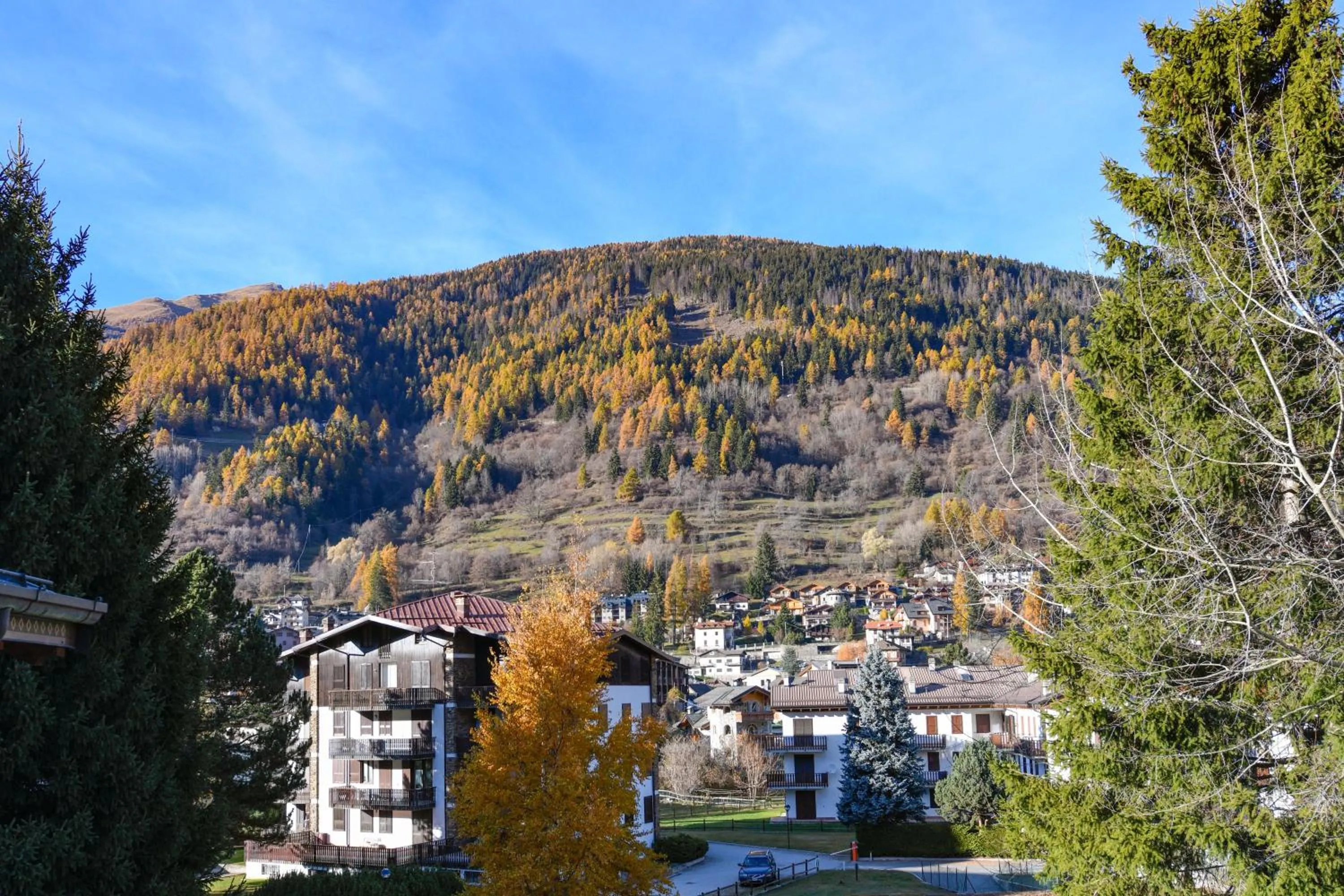 View (from property/room) in Hotel Bleis