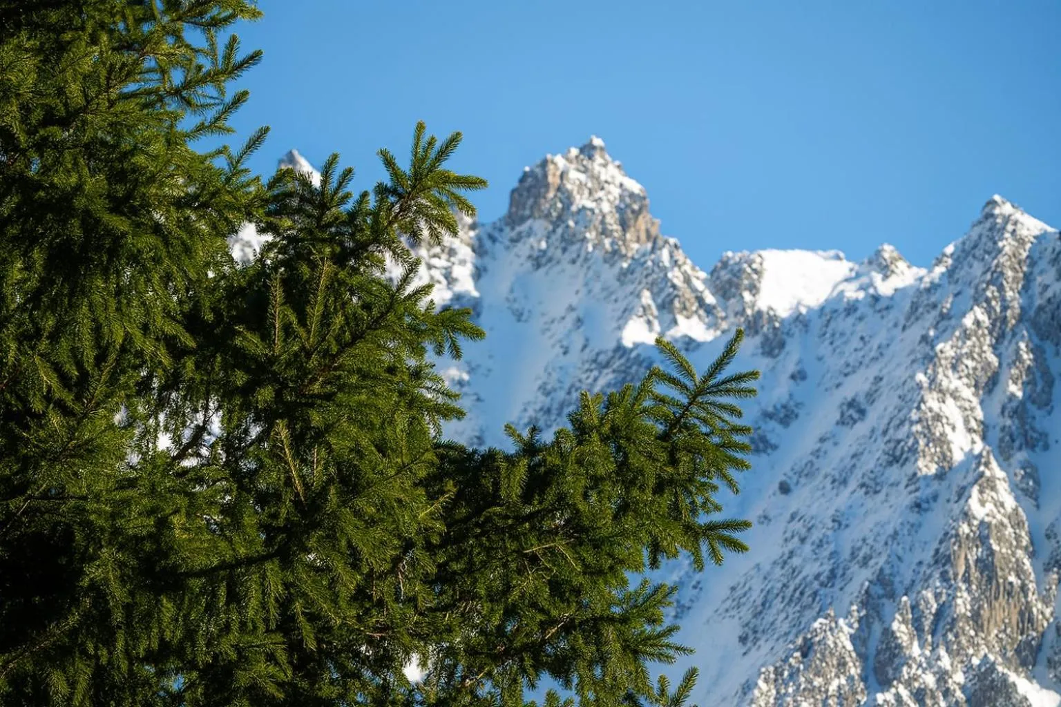 Natural landscape in Hotel Bleis