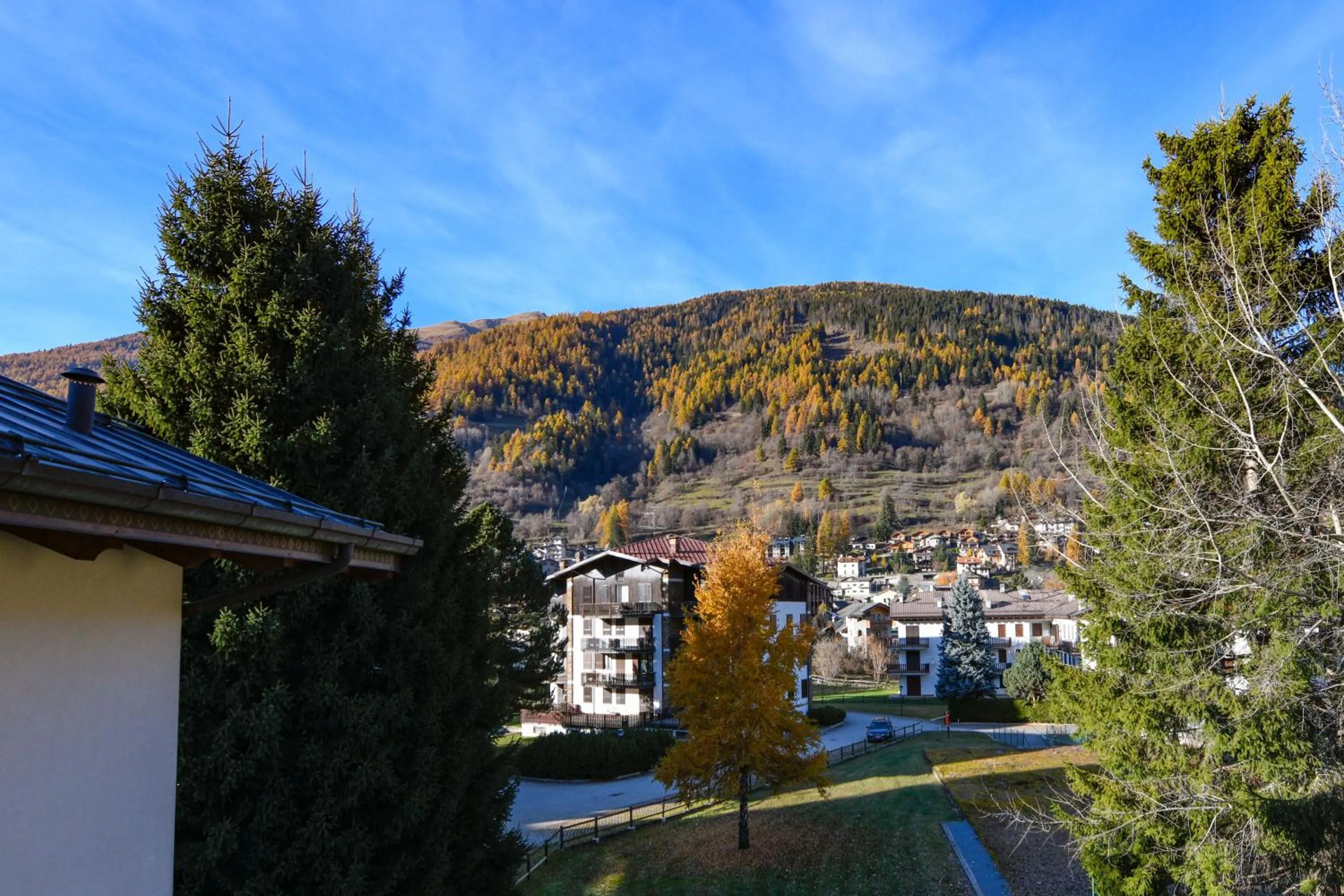 View (from property/room) in Hotel Bleis