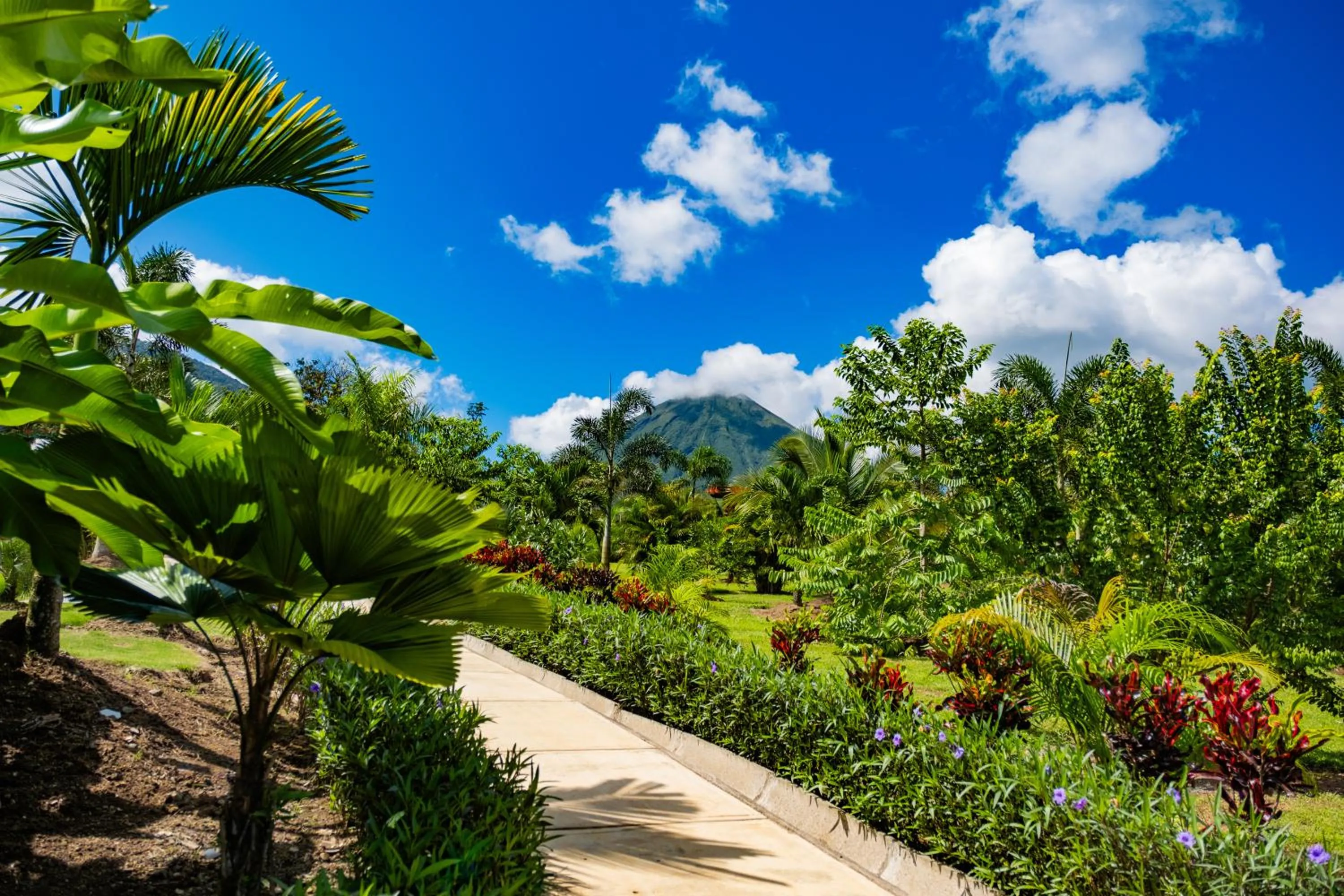 Garden view in Hotel Sanctuarium Adults Only