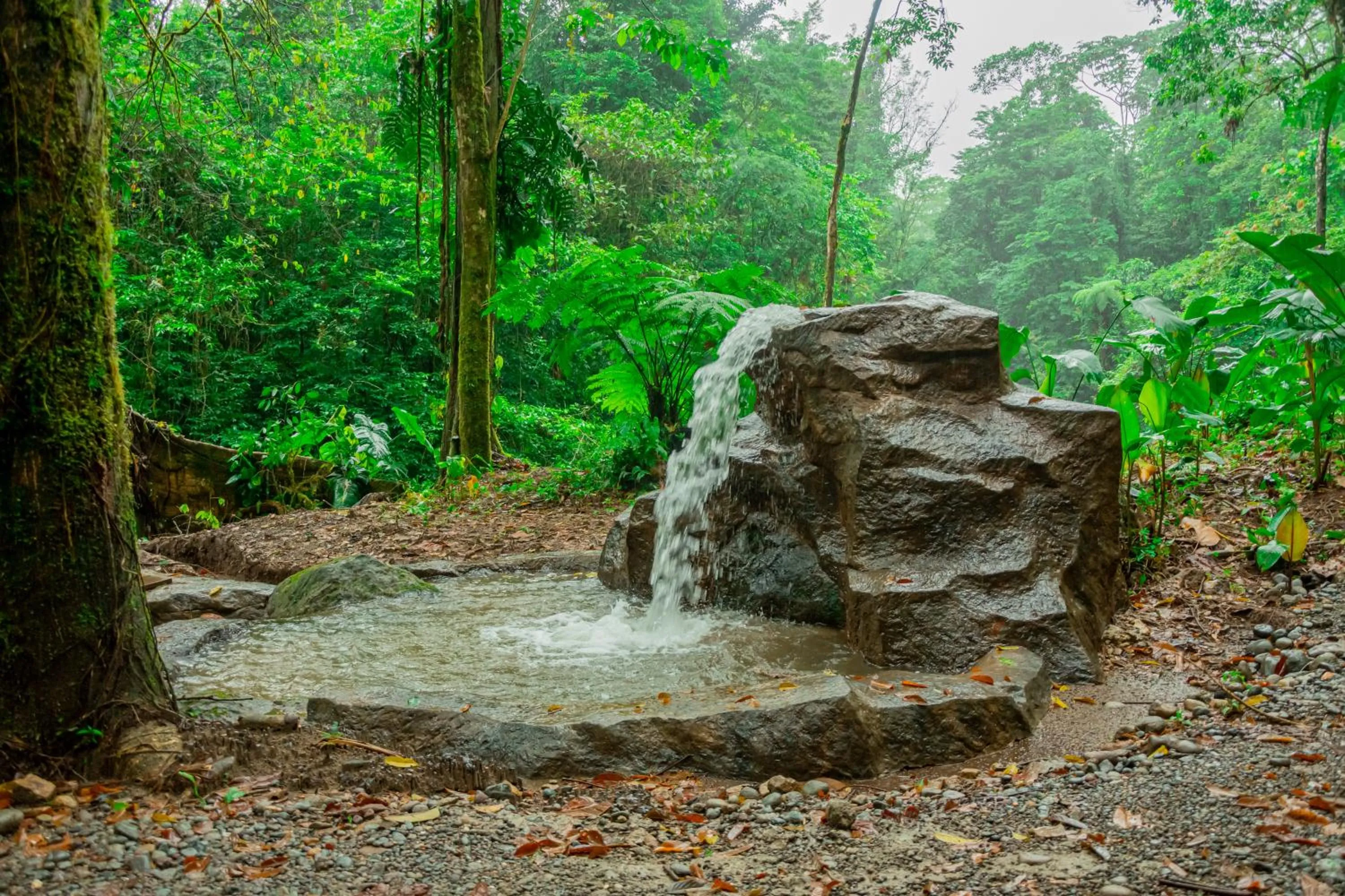 Natural landscape in Hotel Sanctuarium Adults Only