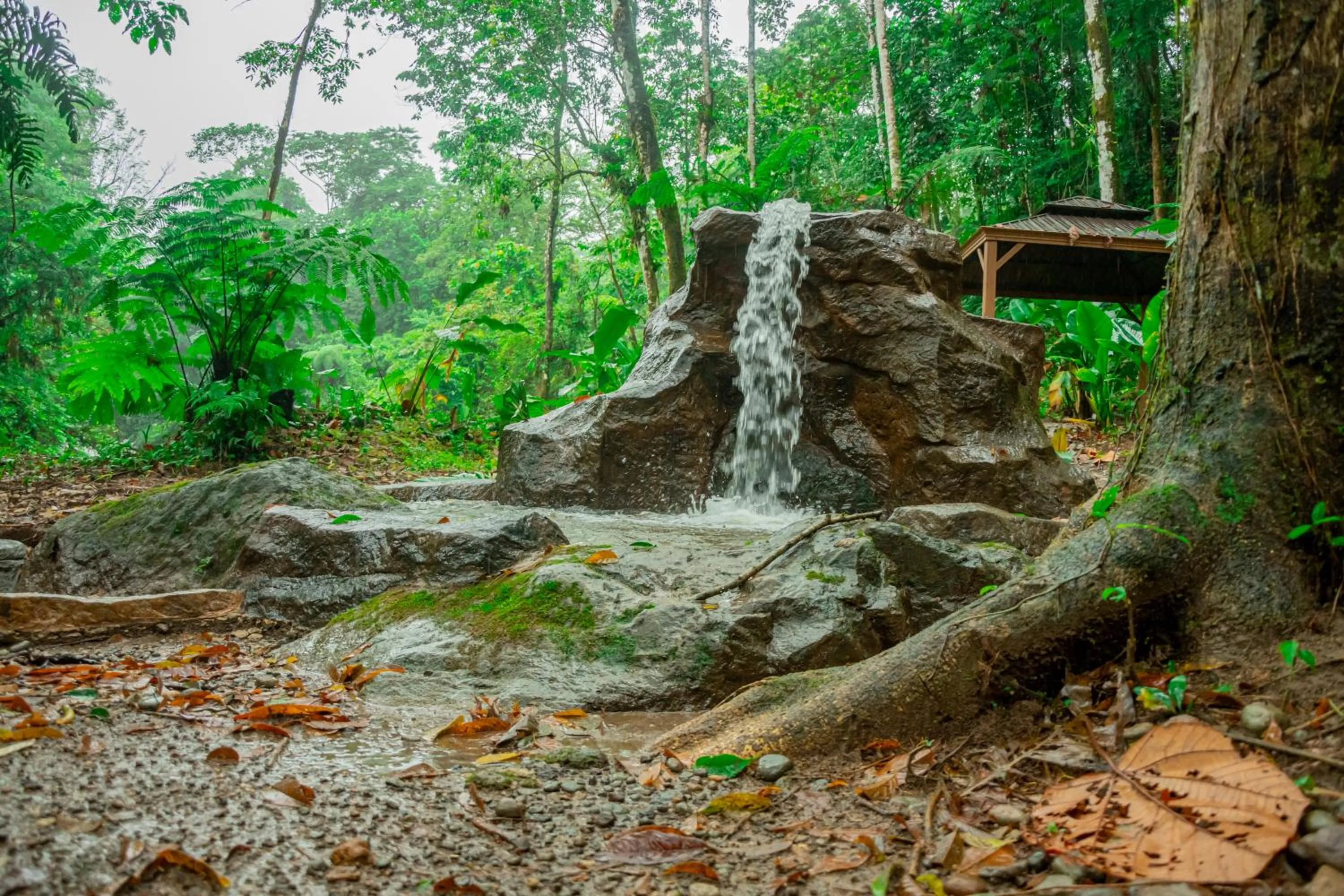Nearby landmark in Hotel Sanctuarium Adults Only