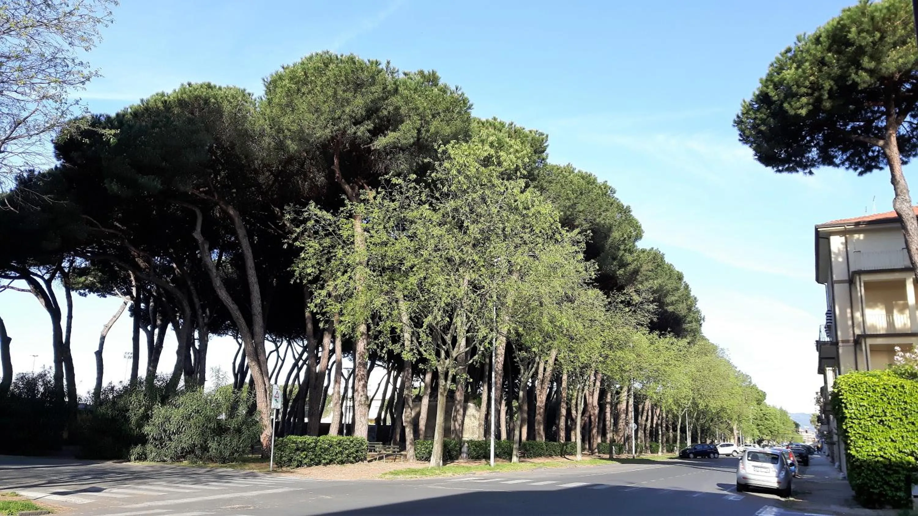 Neighbourhood in Mare e Monti Apartment