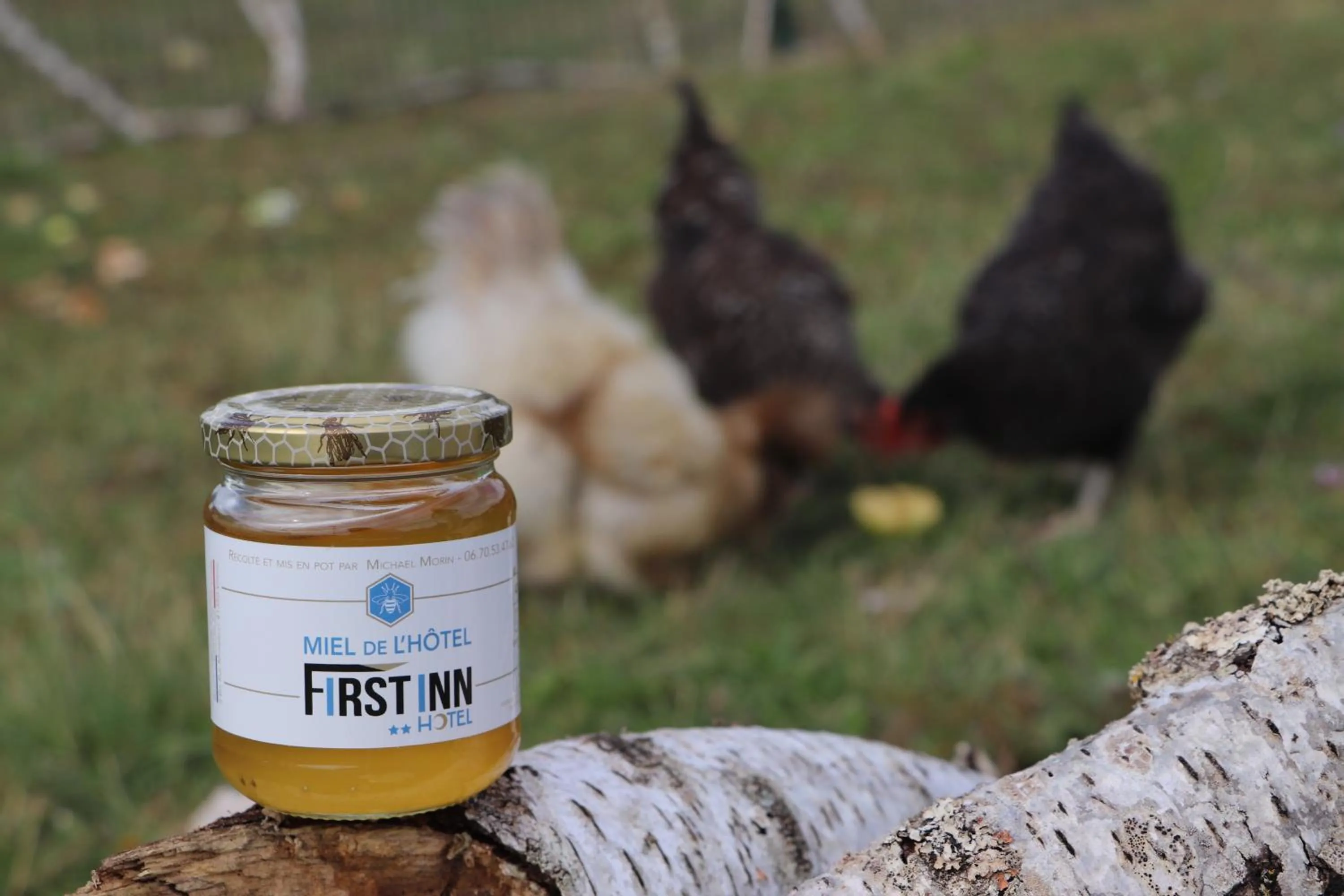 Animals in First Inn Hotel Blois