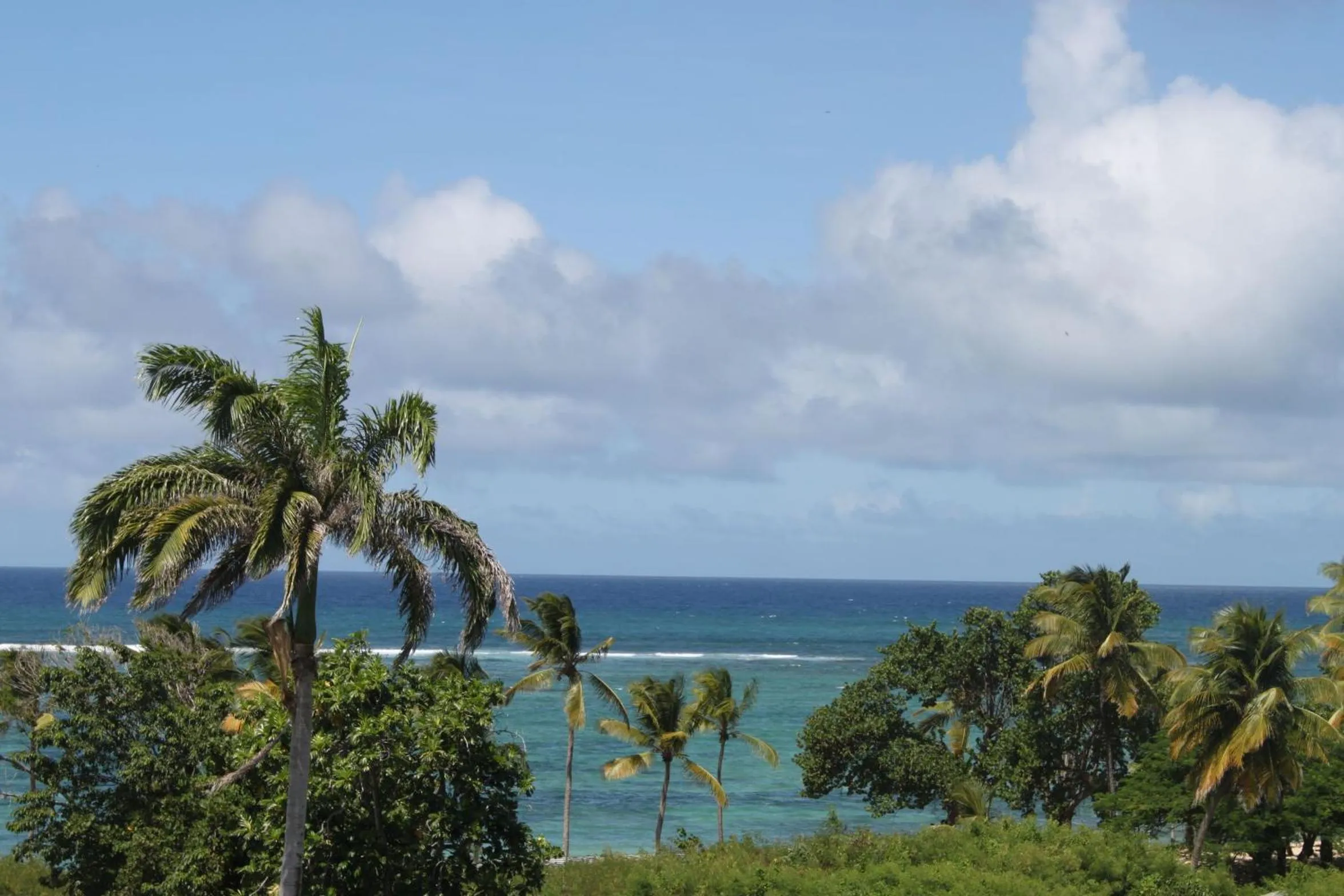 Natural landscape in Résidence Tropicale