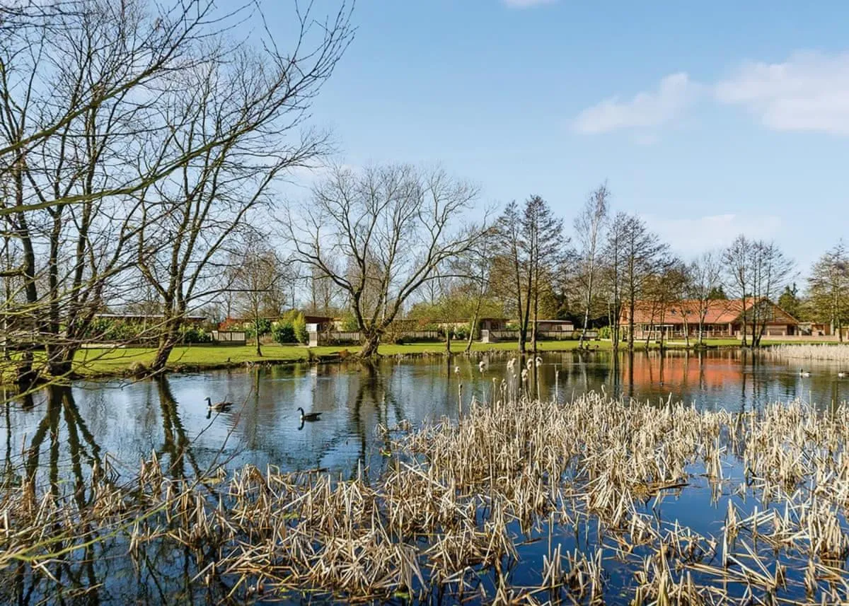 Property building in Pickering Lodges
