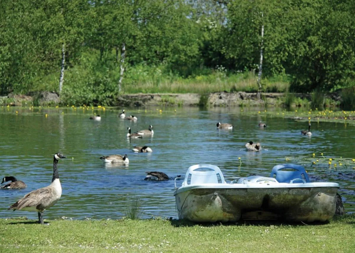 Property building in Pickering Lodges