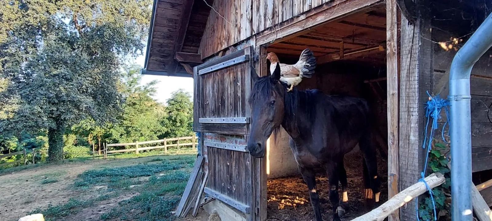 Farmica, Bed&Breakfast, Bazen izdvojen nekoliko minuta hoda
