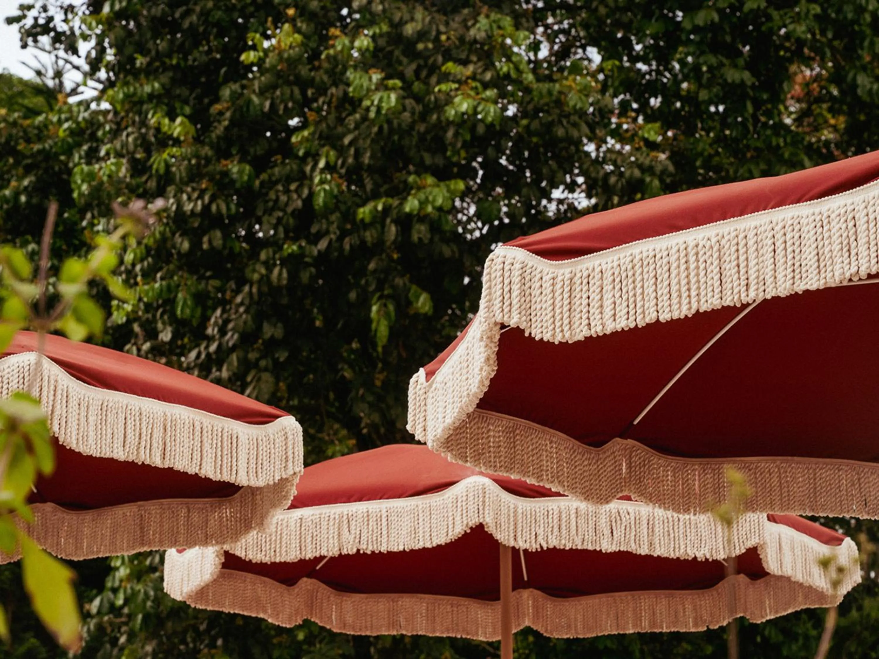 Garden in Céline & Lolo