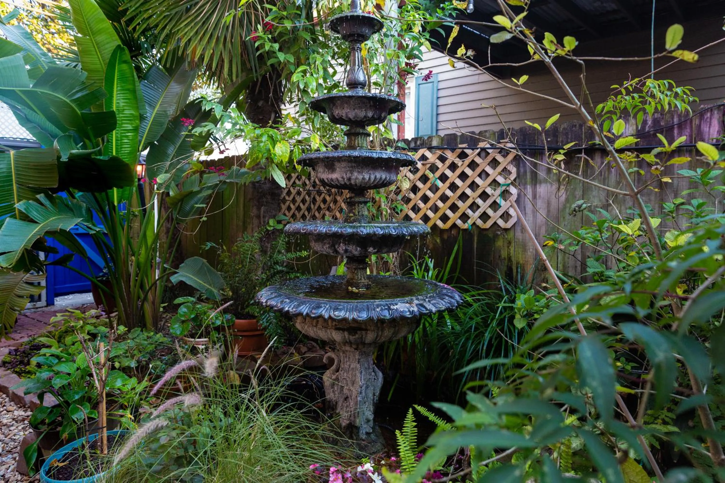 Garden in The Blue60 Marigny Inn