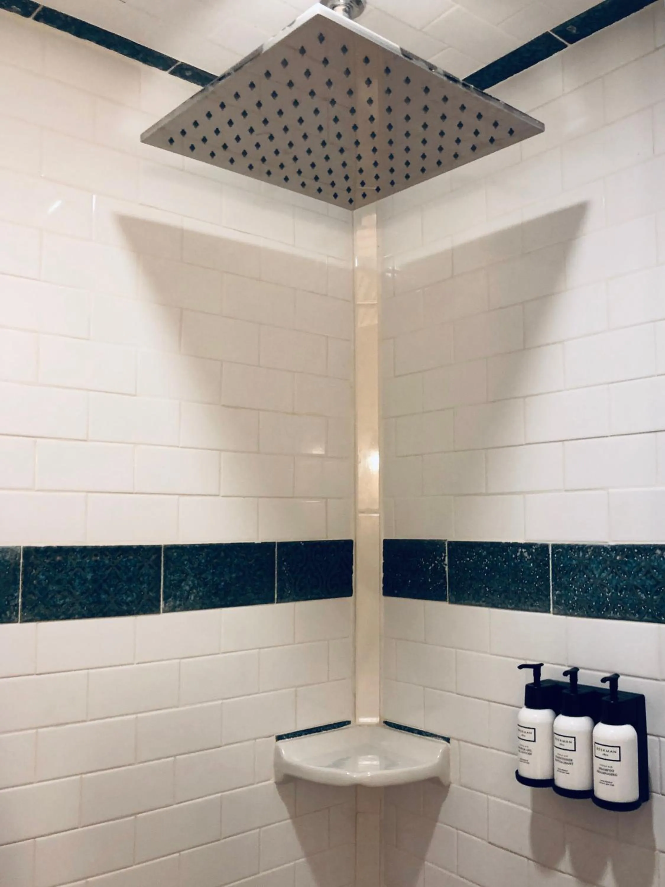 Shower in The Blue60 Marigny Inn