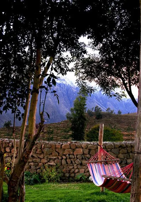 Garden in La Casa de Santiago Hotel