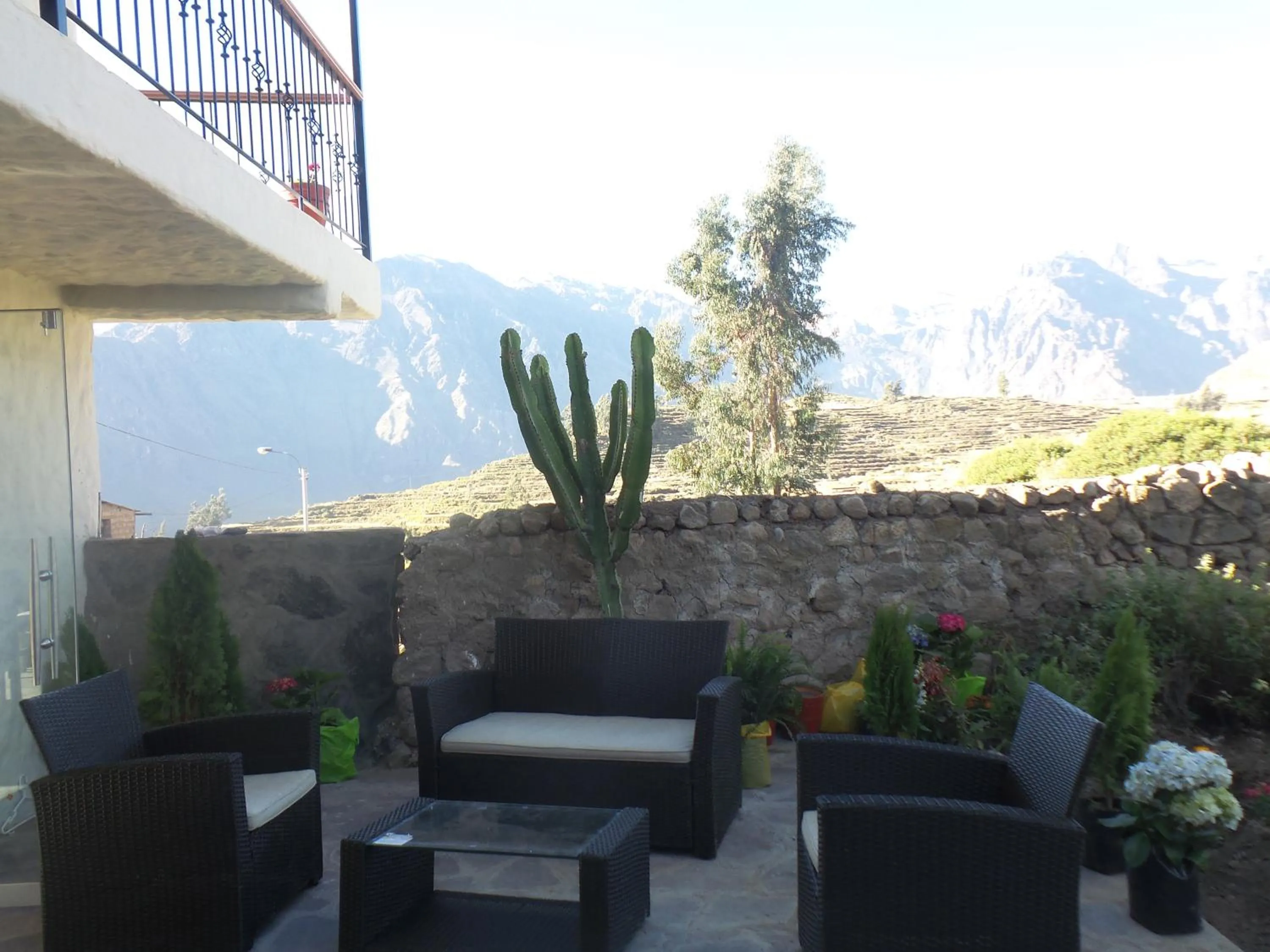 Garden in La Casa de Santiago Hotel