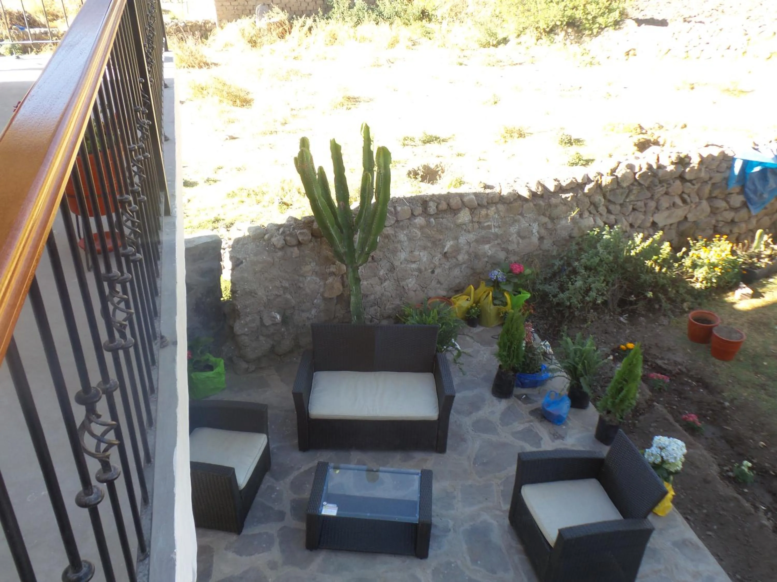 Garden in La Casa de Santiago Hotel
