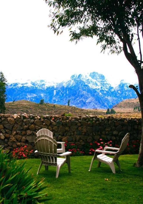 Garden in La Casa de Santiago Hotel