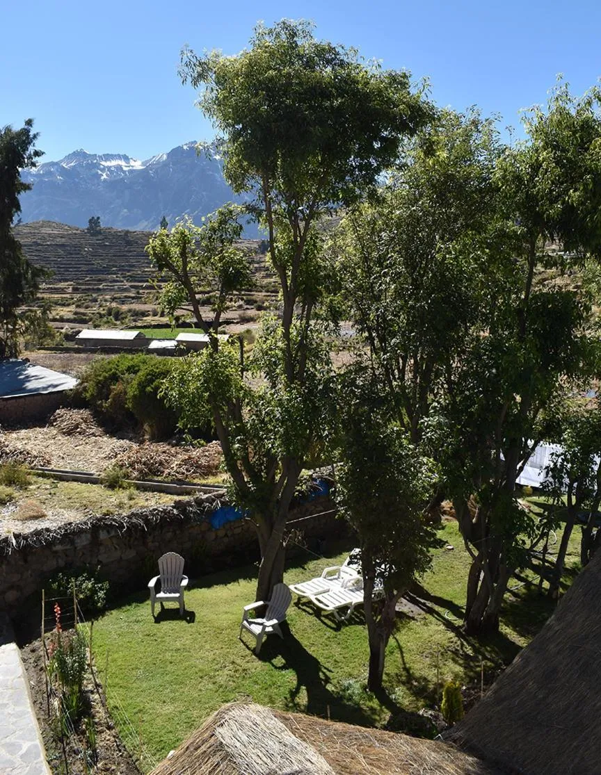Garden in La Casa de Santiago Hotel
