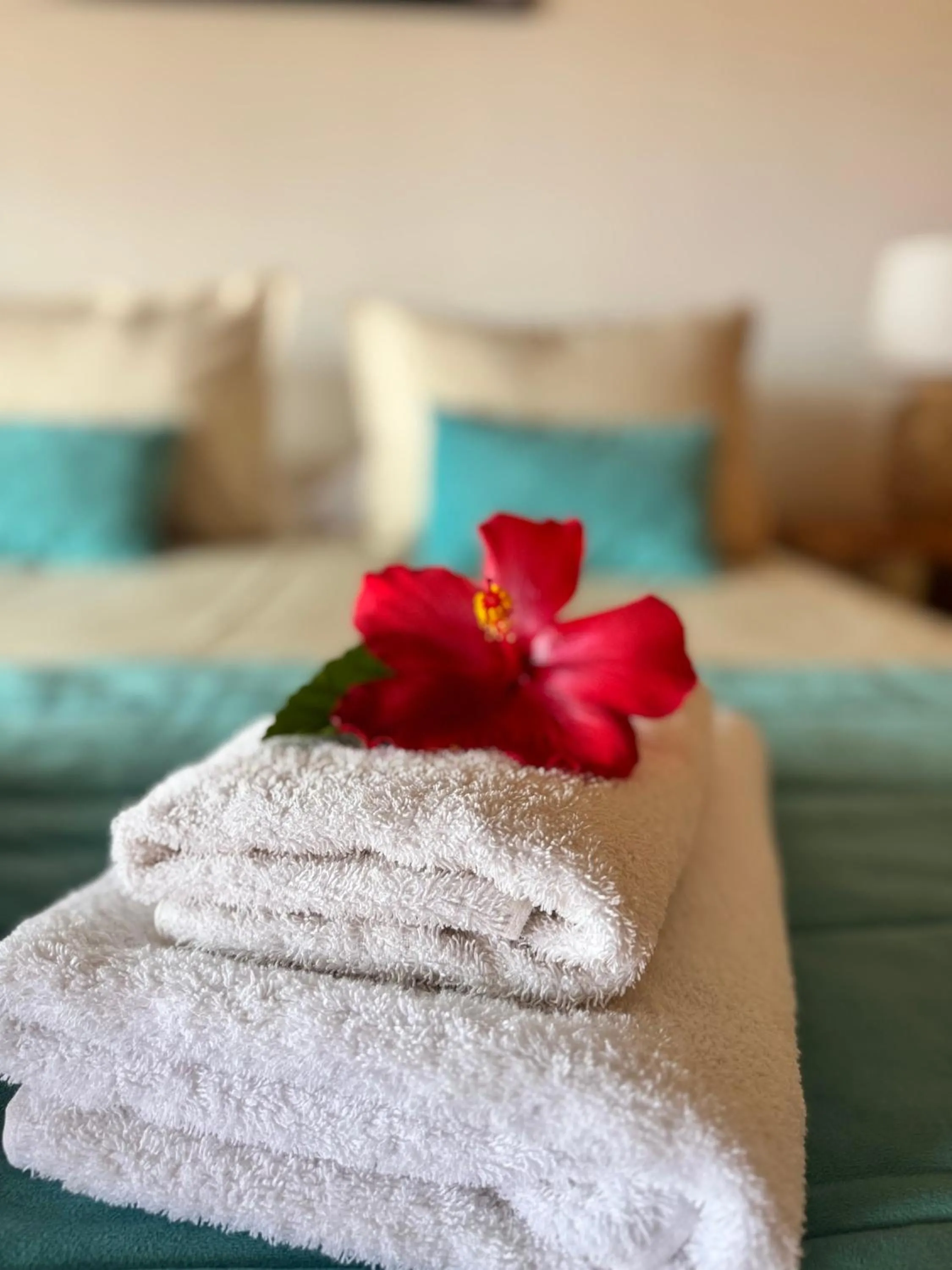 Cabañas Anavai Rapa Nui