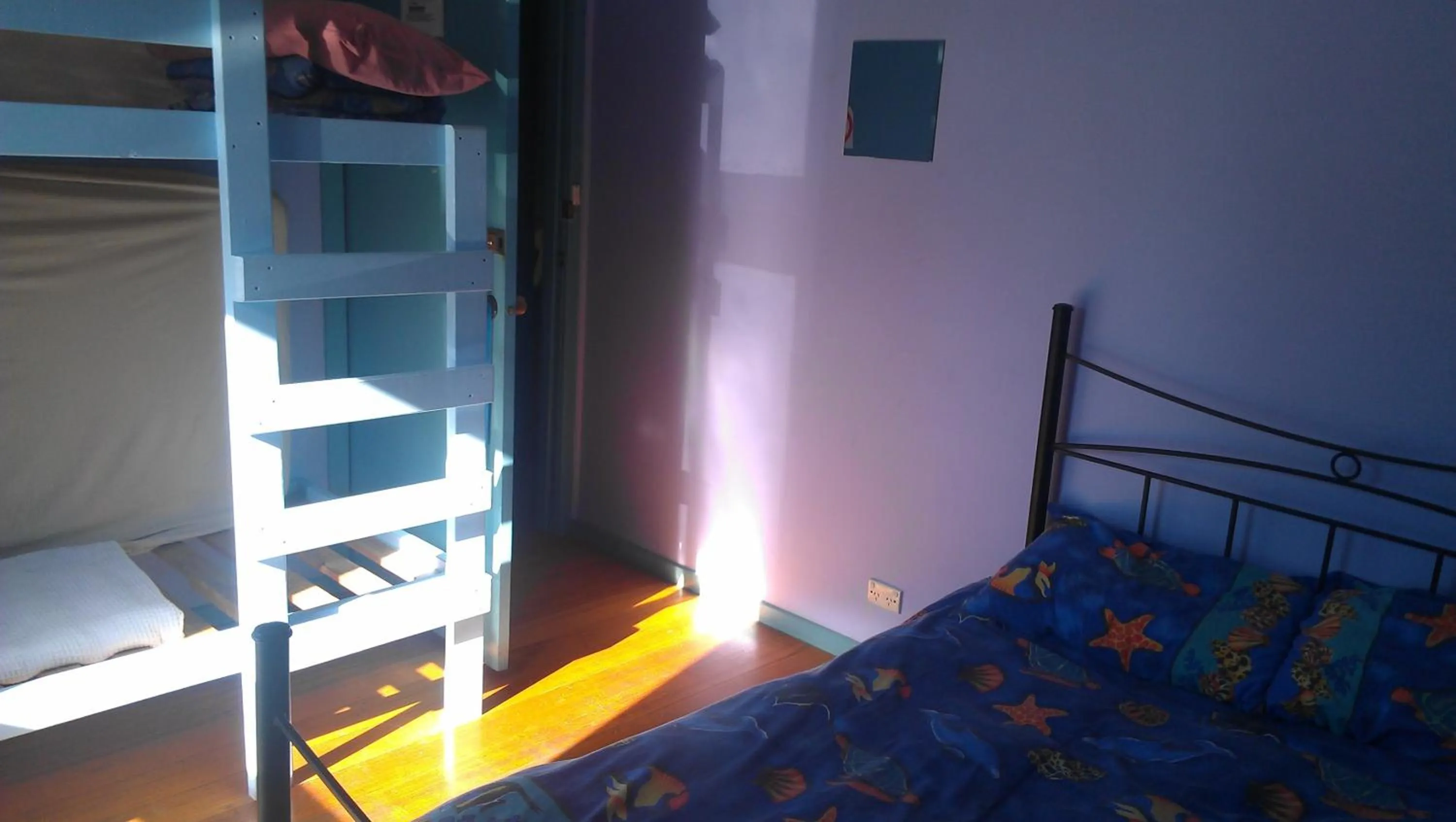 bunk bed, Bed in Anglesea Backpackers