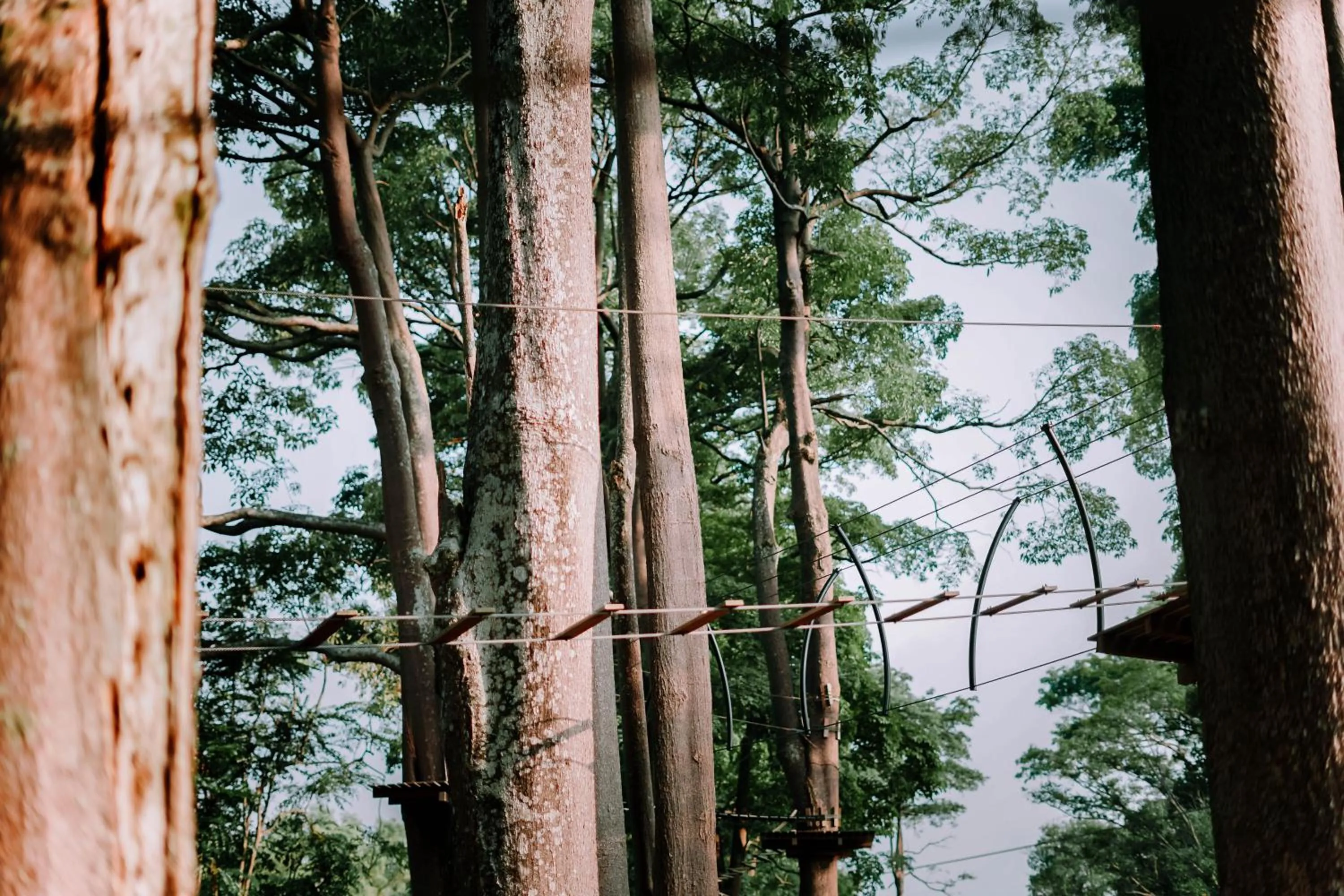 Activities in Tunamaya Beach & Spa Resort- Desaru