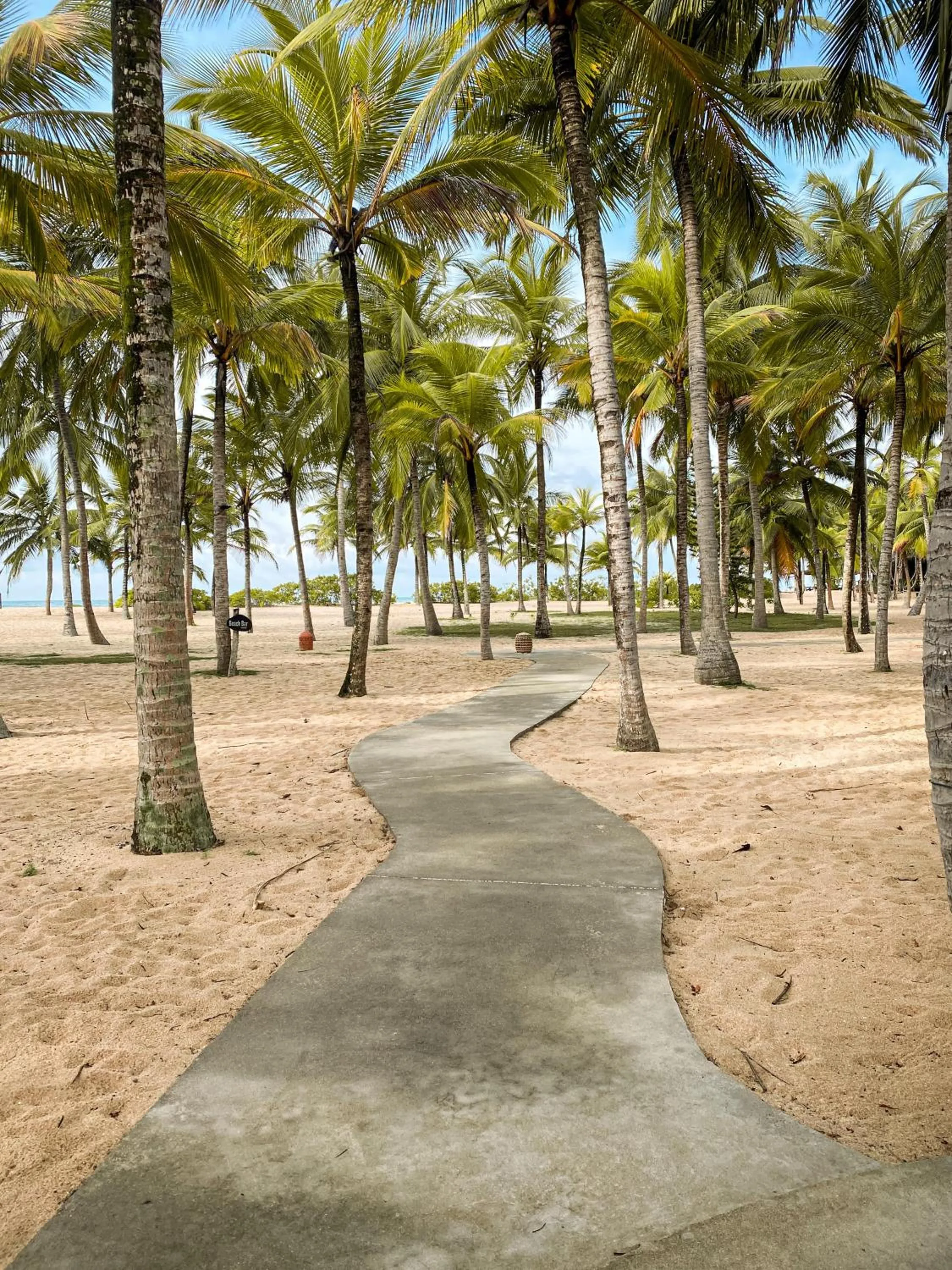 Day in Mangrove Beach Chalets