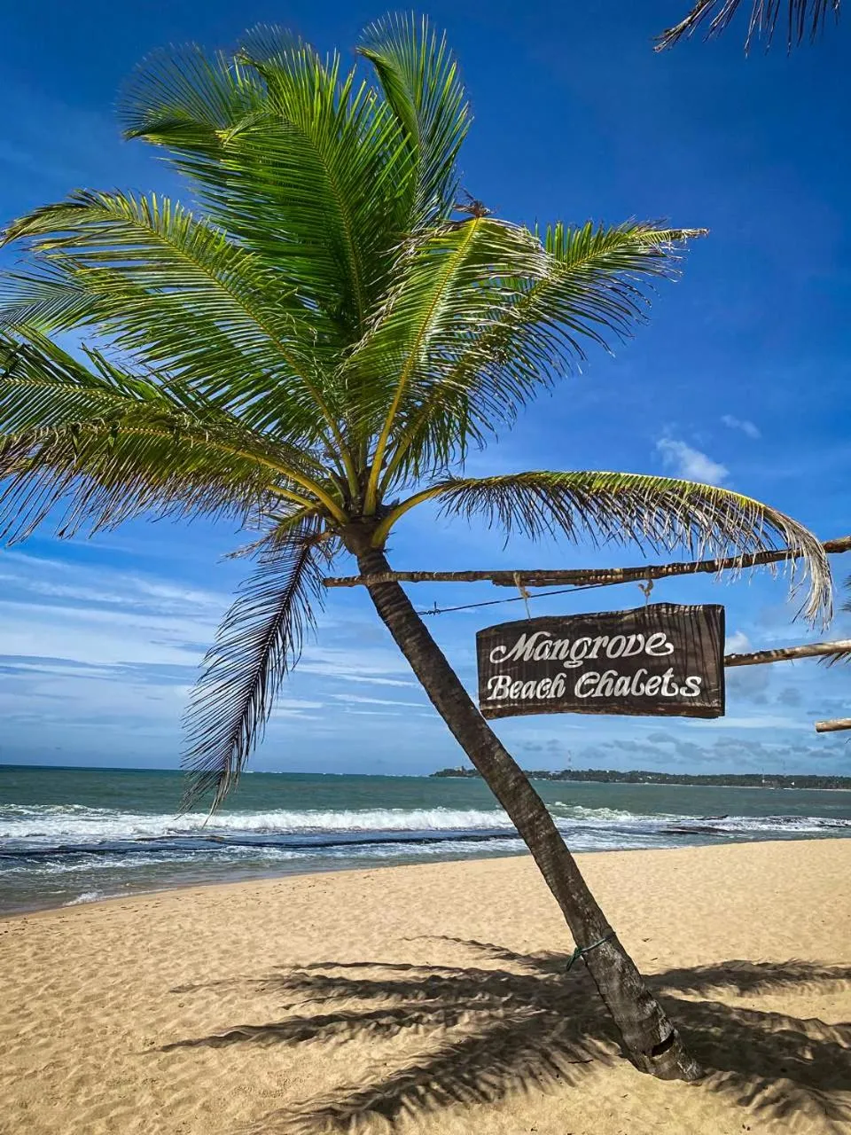 Beach in Mangrove Beach Chalets