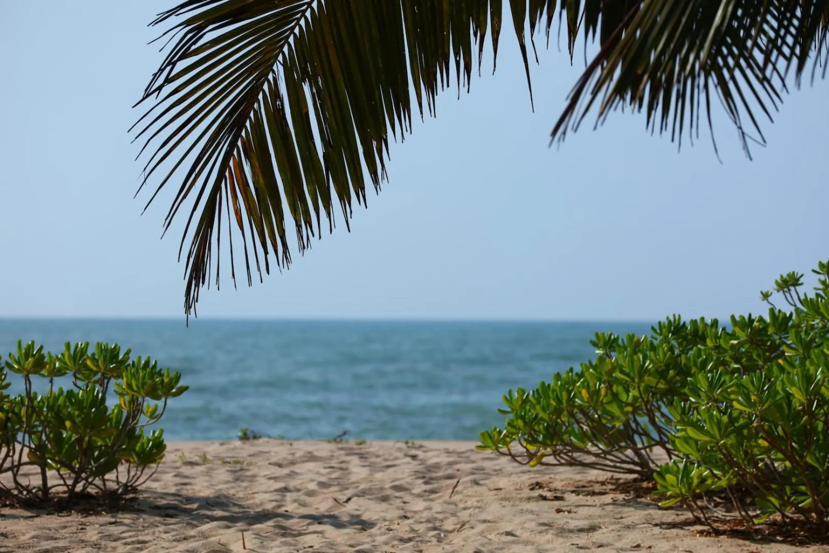 Mangrove Beach Chalets