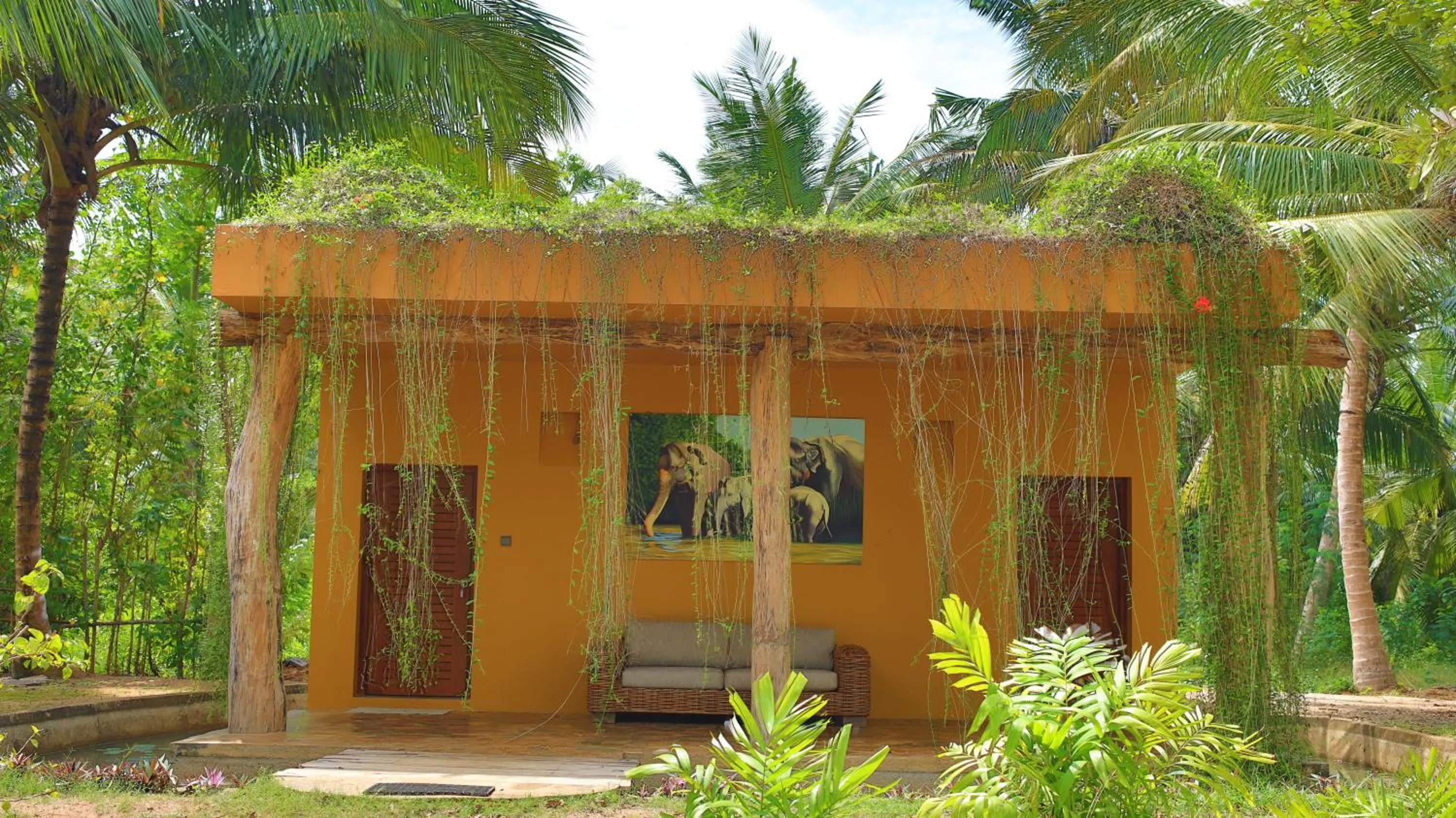 Photo of the whole room in Mangrove Beach Chalets