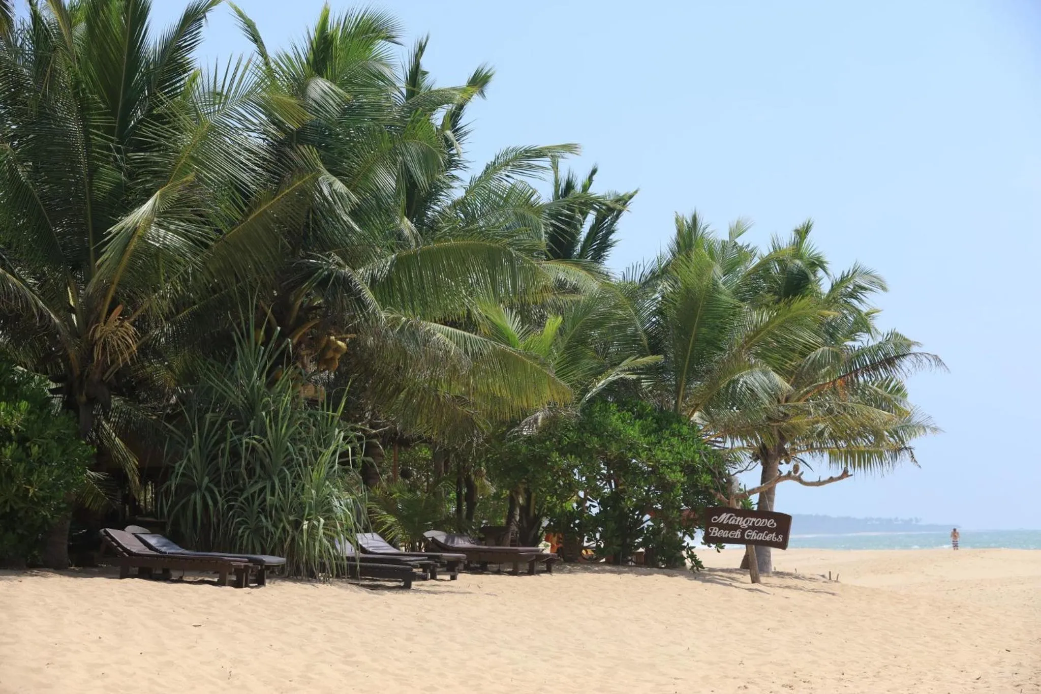 Mangrove Beach Chalets