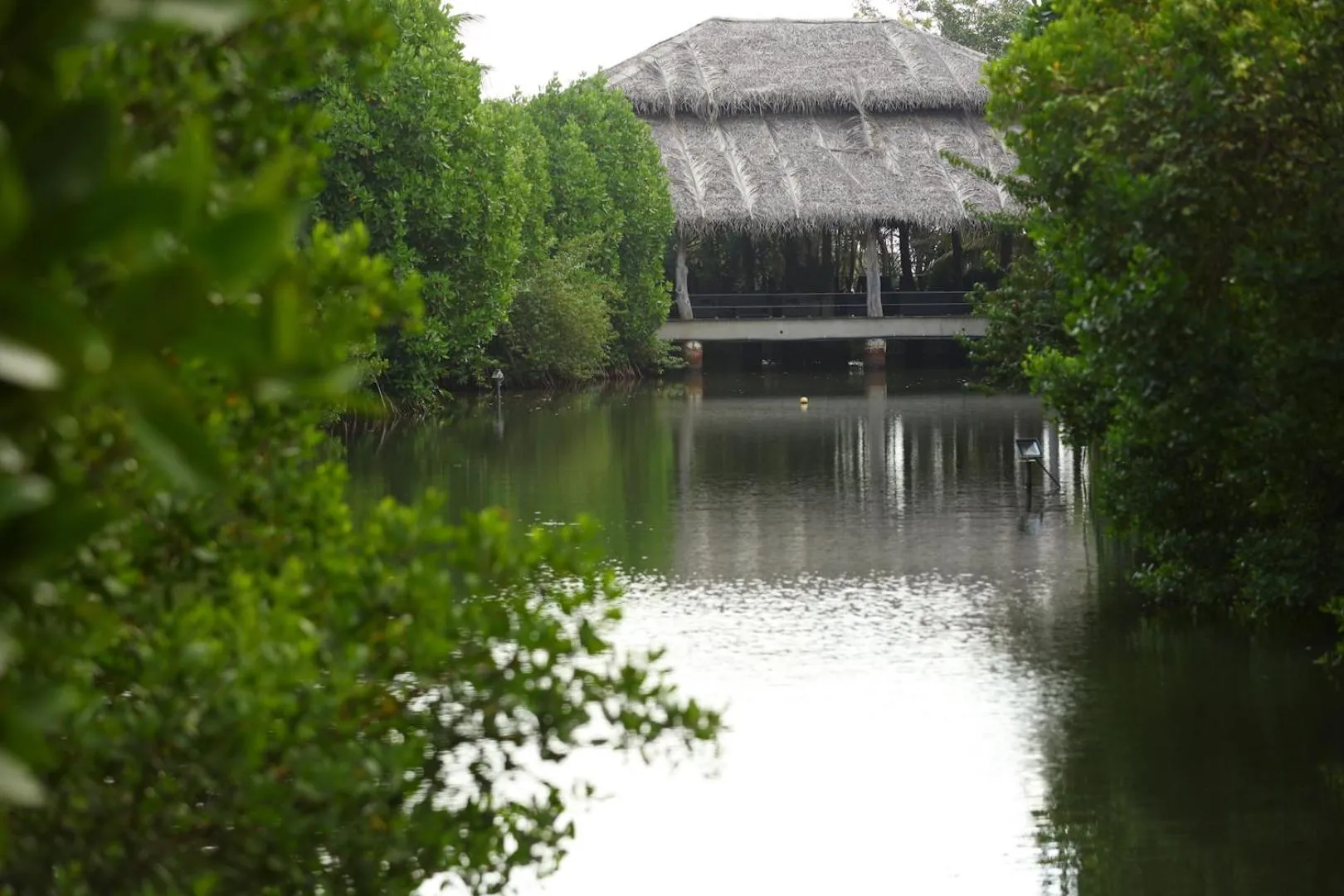 Mangrove Beach Chalets