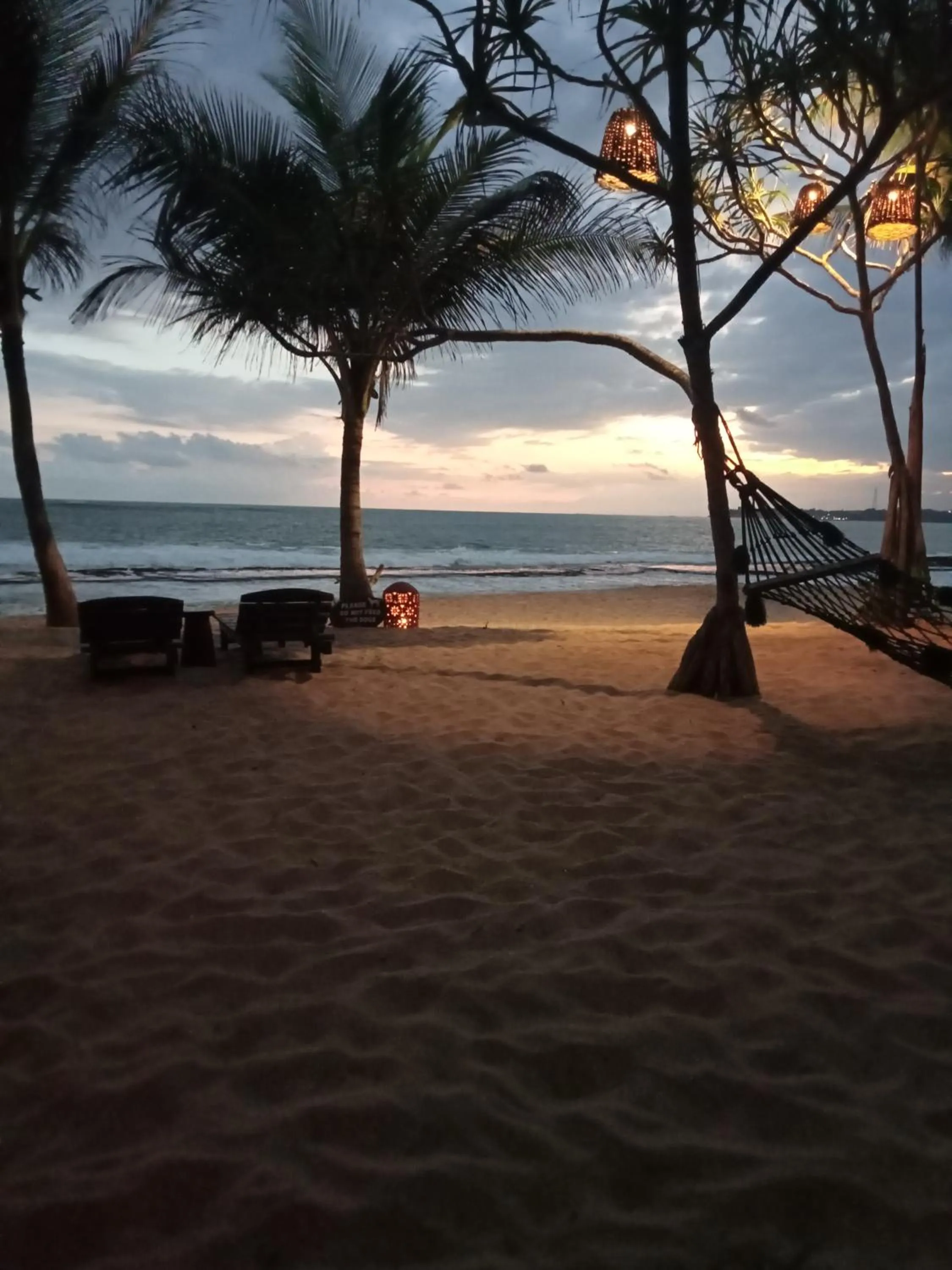 Mangrove Beach Chalets