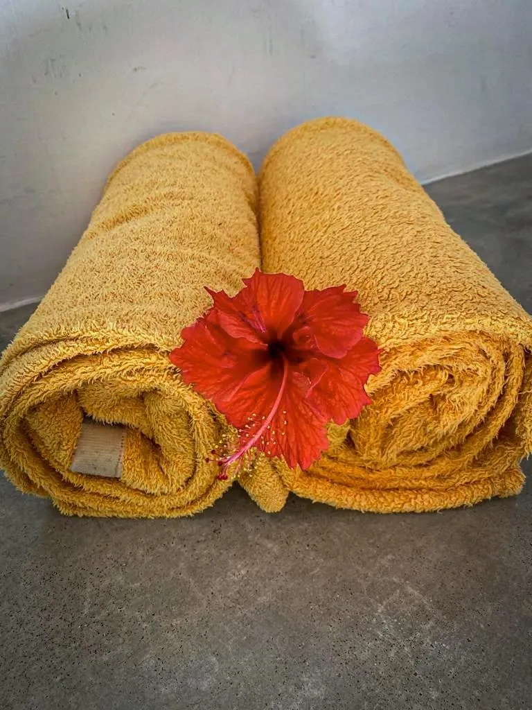 Mangrove Beach Chalets