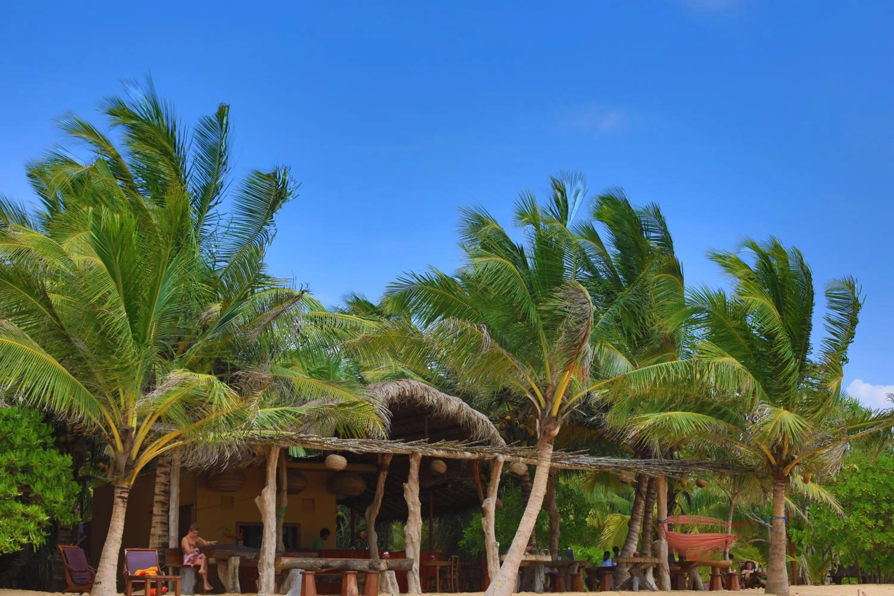 Mangrove Beach Chalets