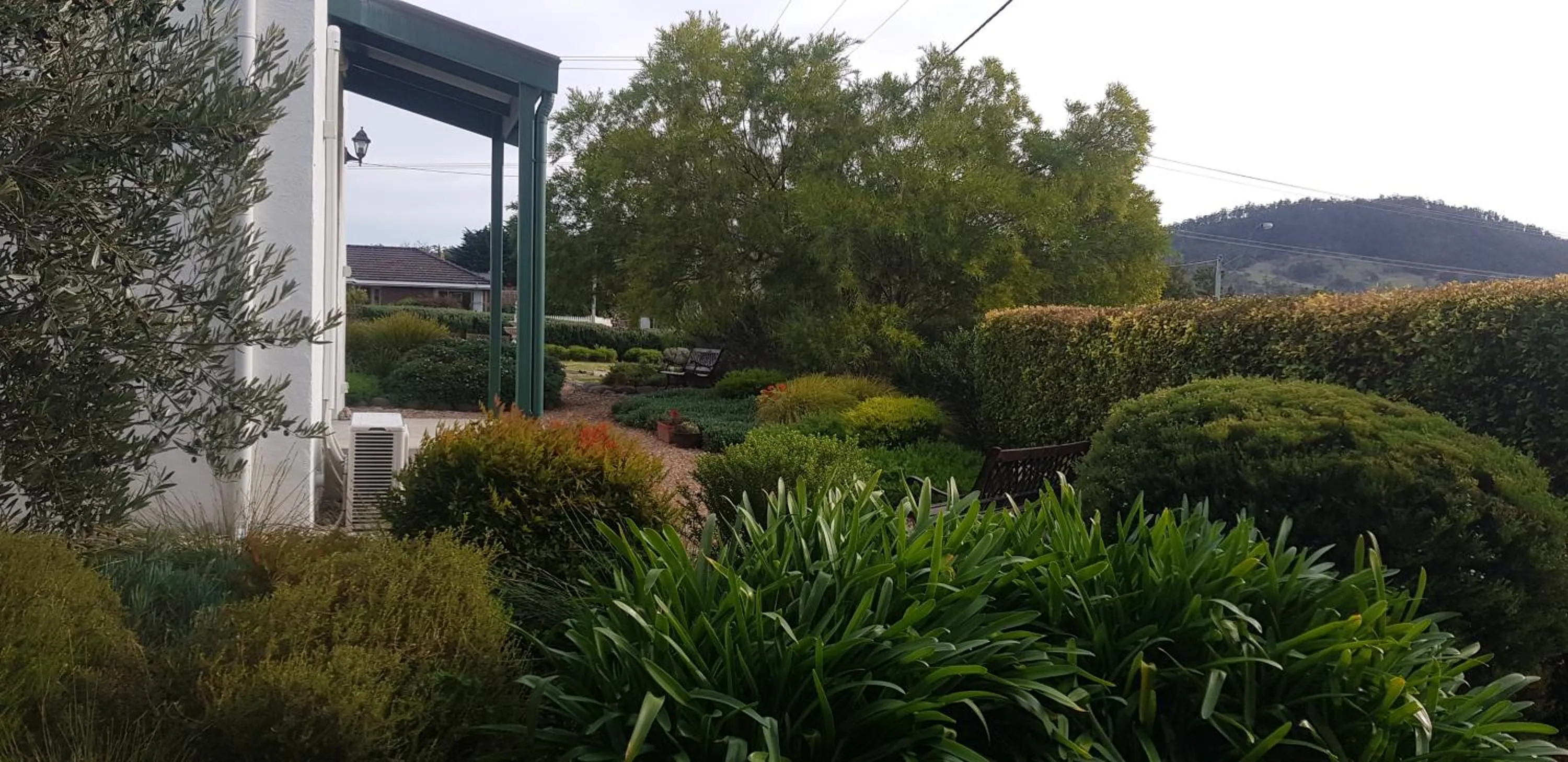 Garden in Richmond Barracks