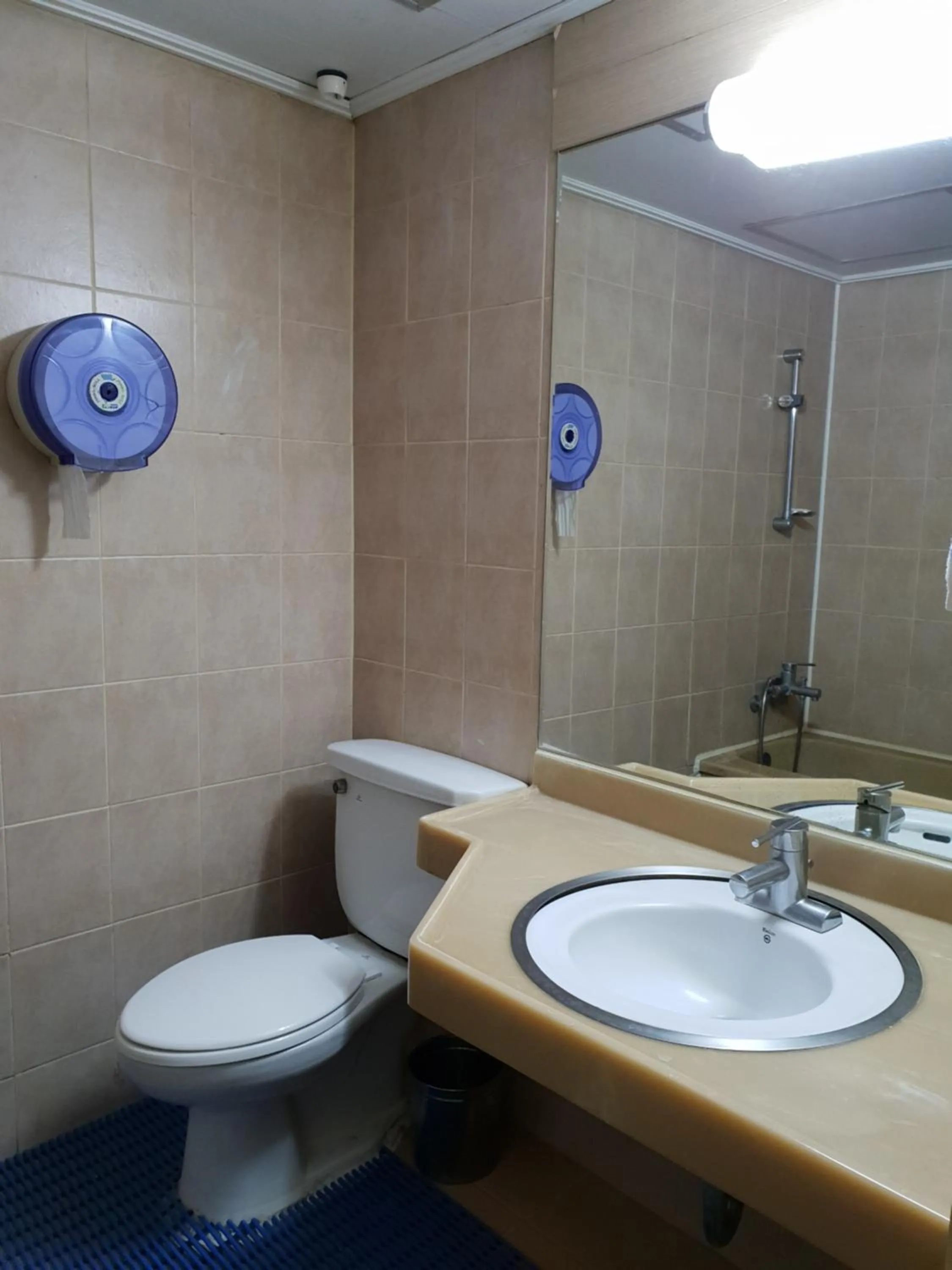 Bathroom in Green and Blue Hotel