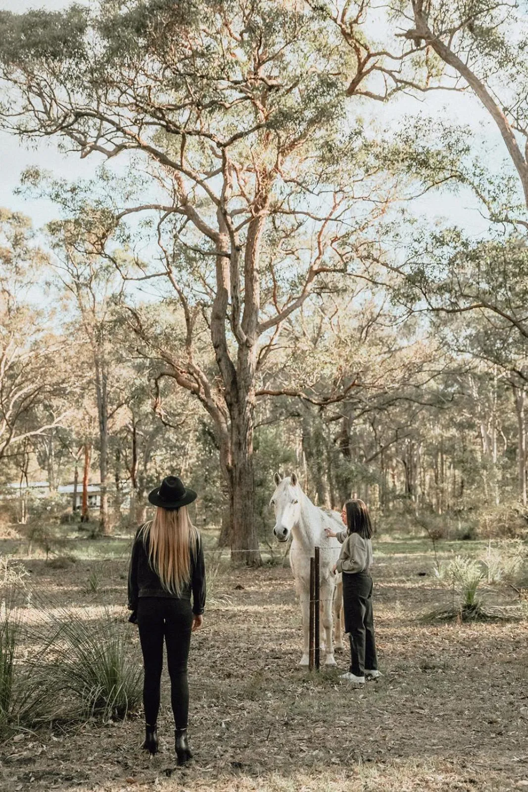 Animals in Hunter Valley Retreat