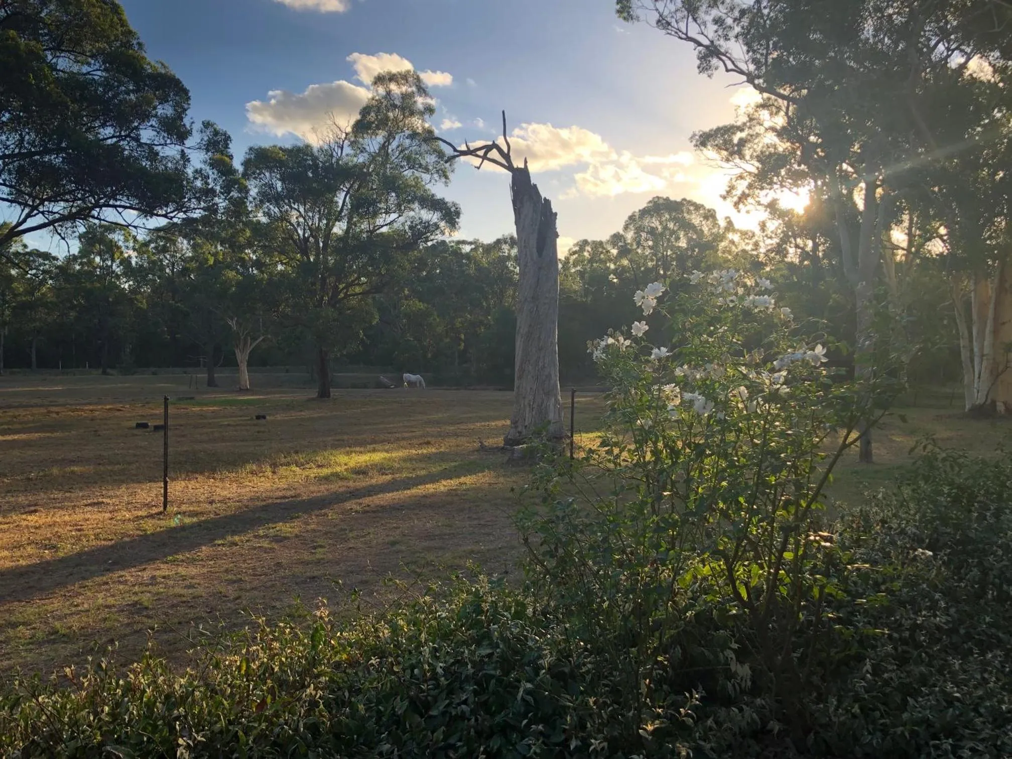 Natural landscape in Hunter Valley Retreat