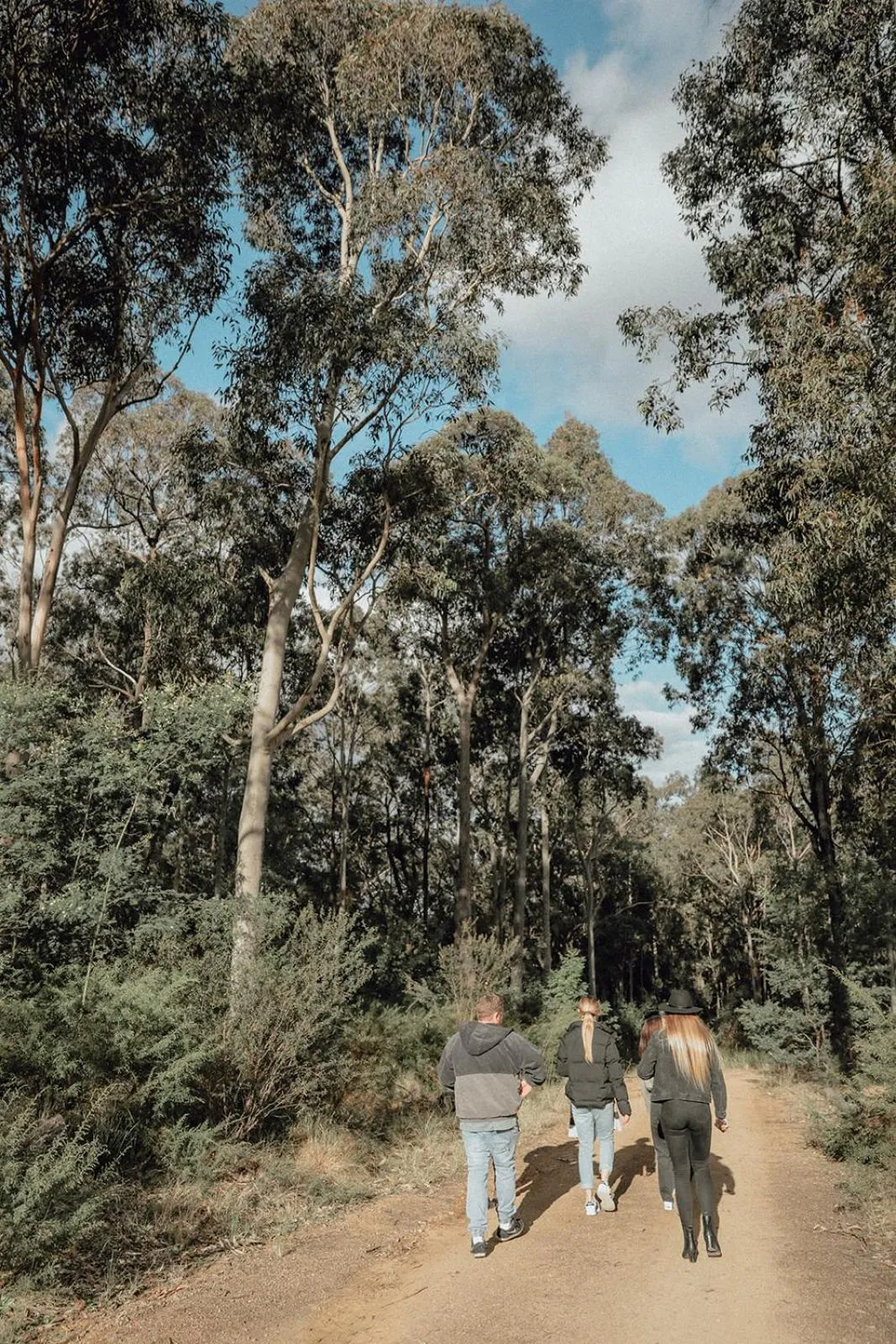 Area and facilities in Hunter Valley Retreat