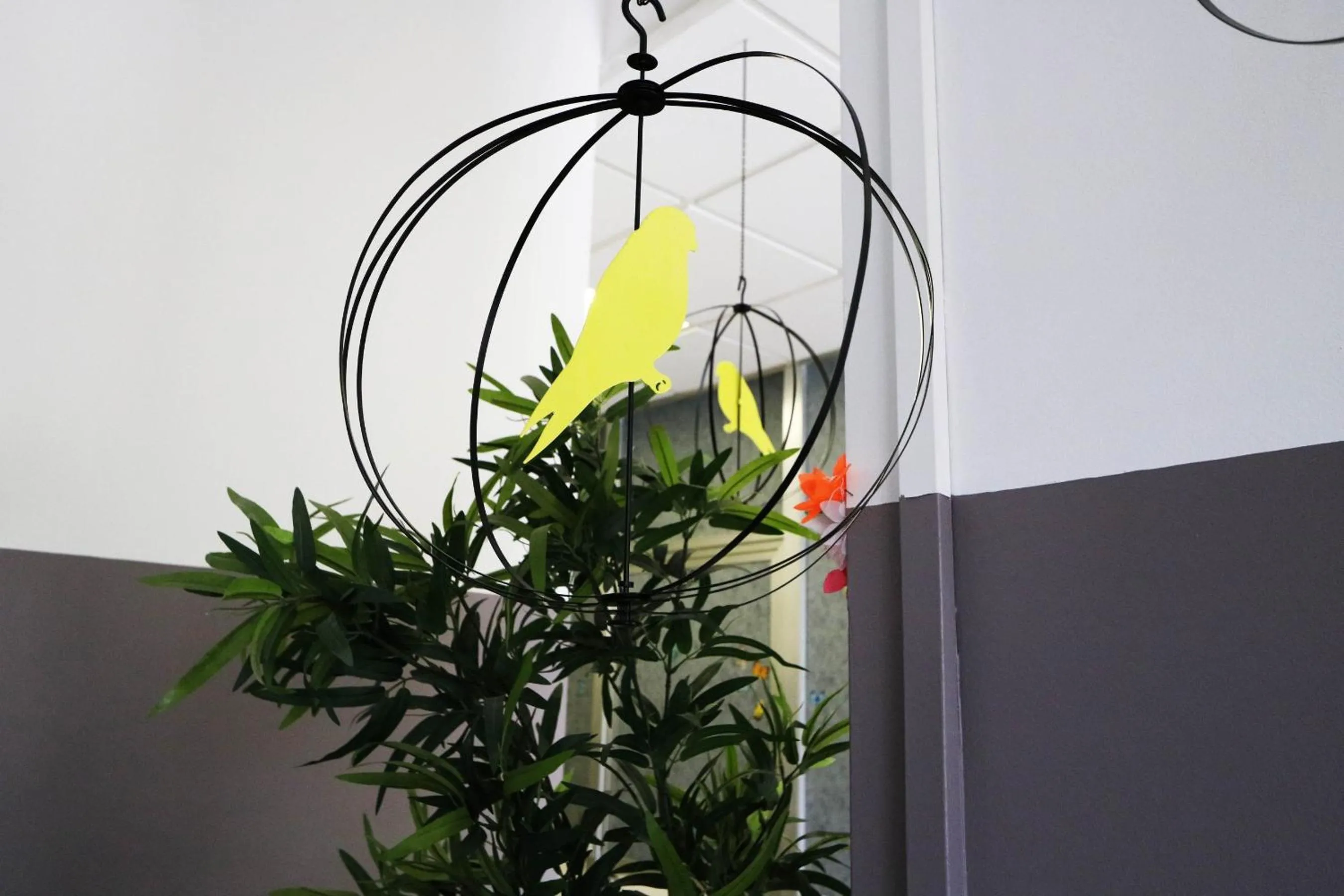 Other in Panda Hostel