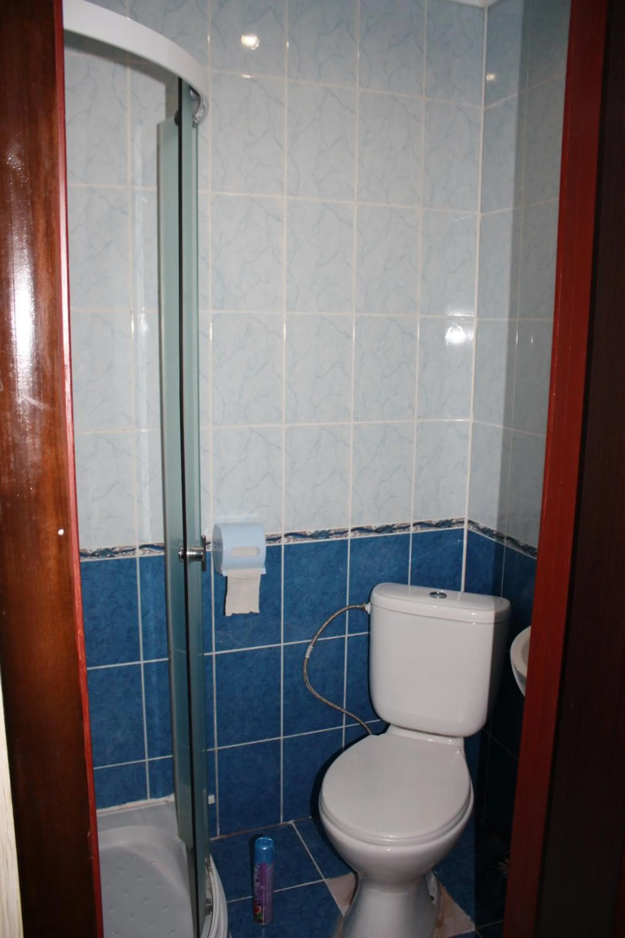 Toilet in motel Pid Strihoyu