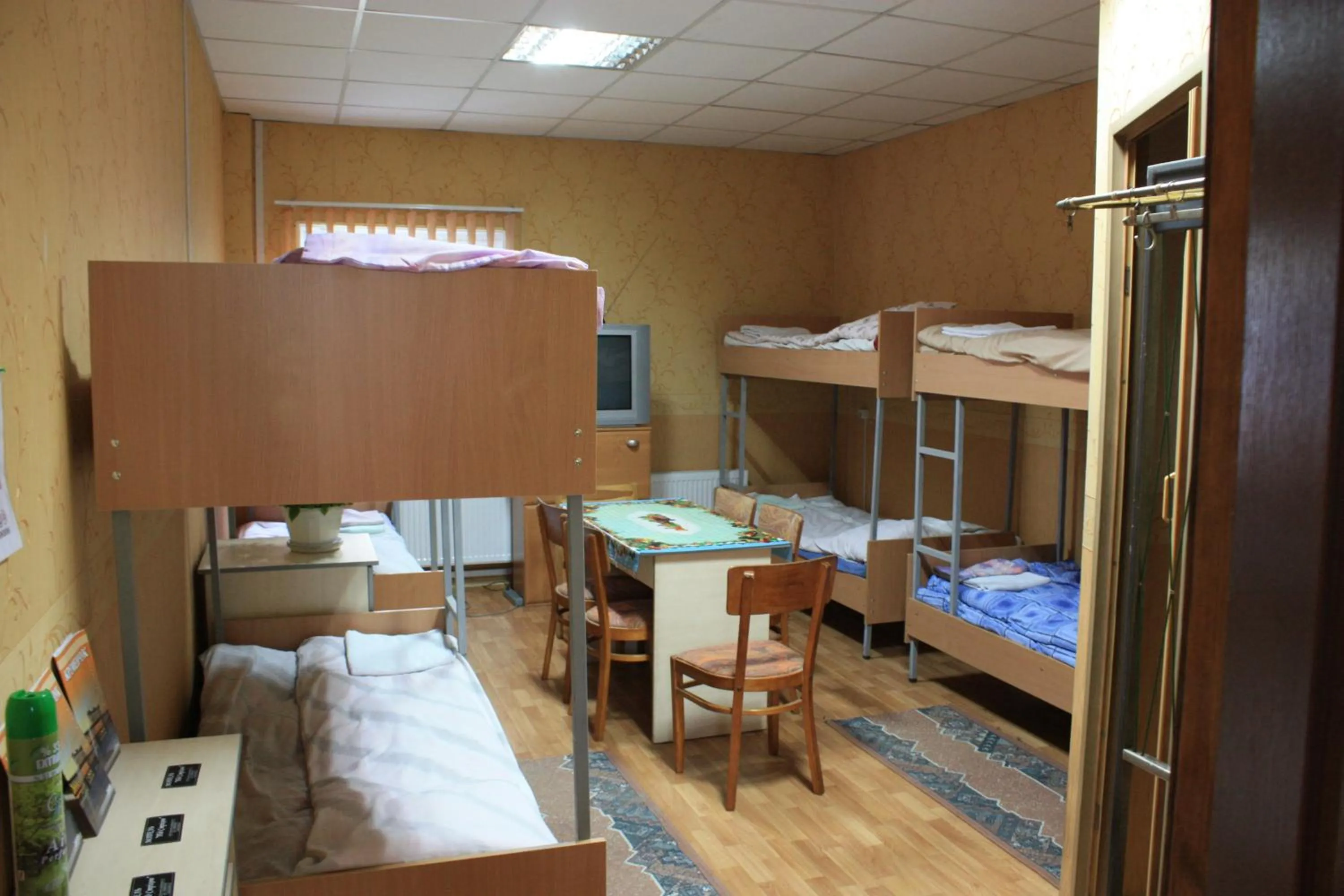 bunk bed, Bed in motel Pid Strihoyu