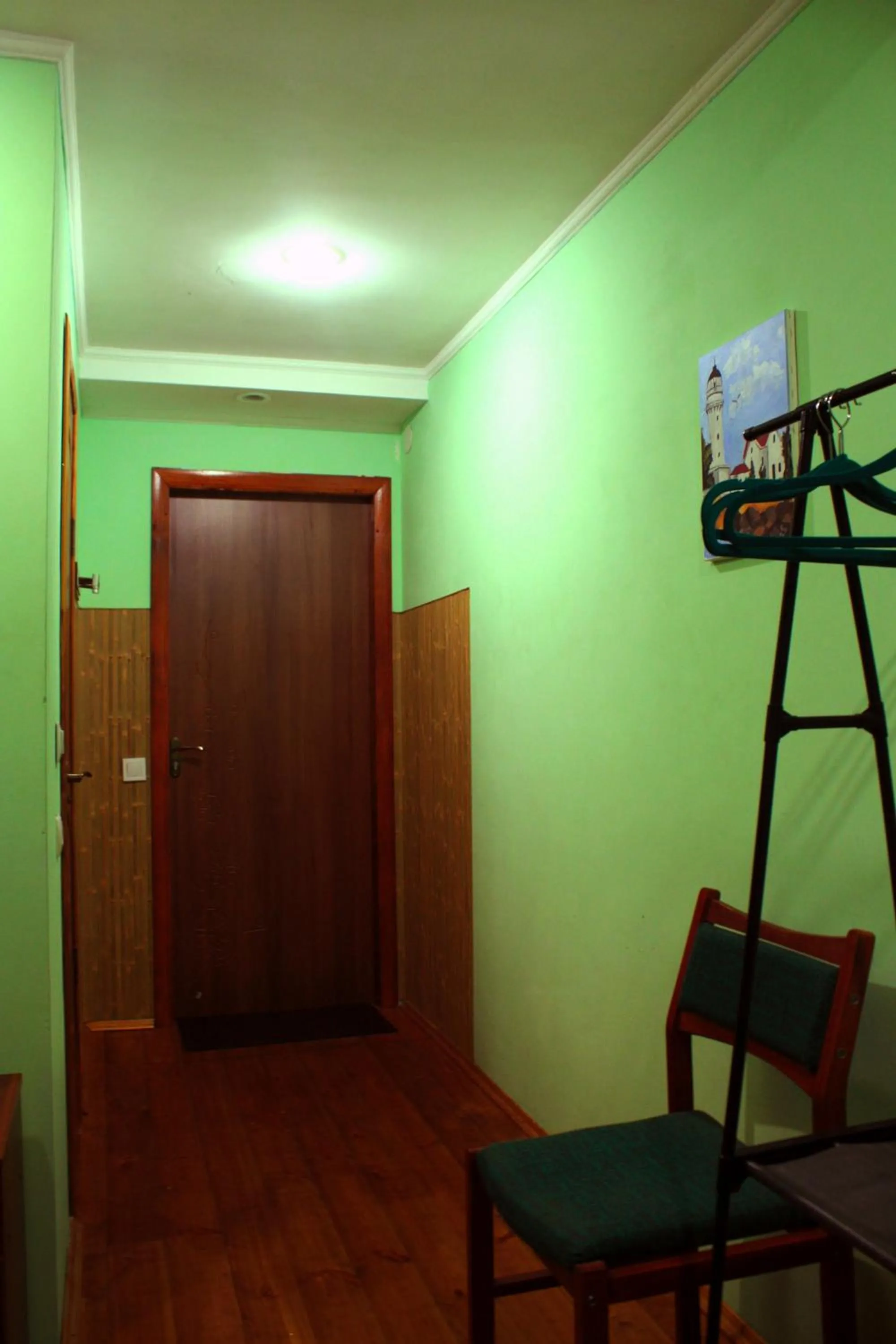 TV and multimedia in motel Pid Strihoyu