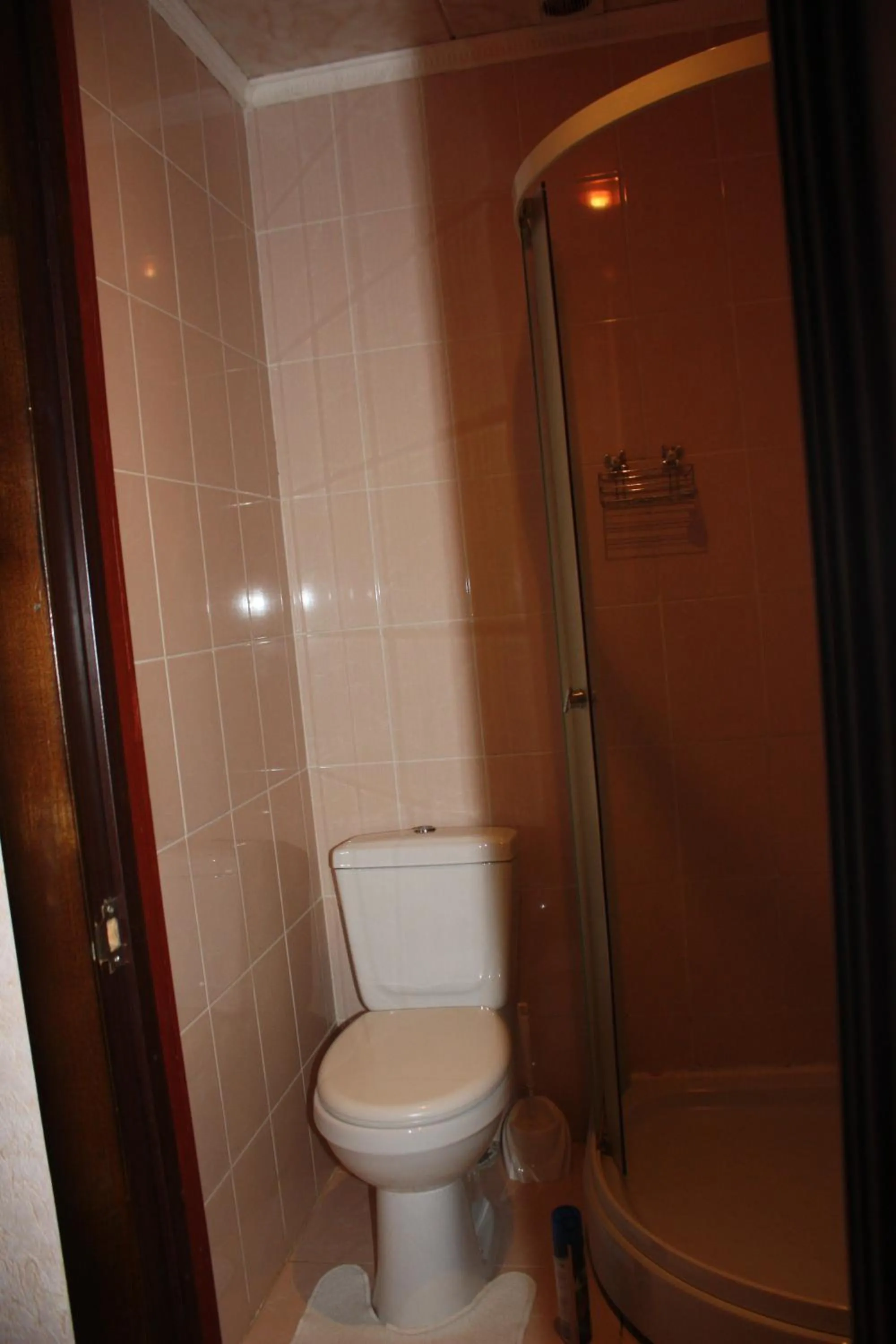 Toilet in motel Pid Strihoyu