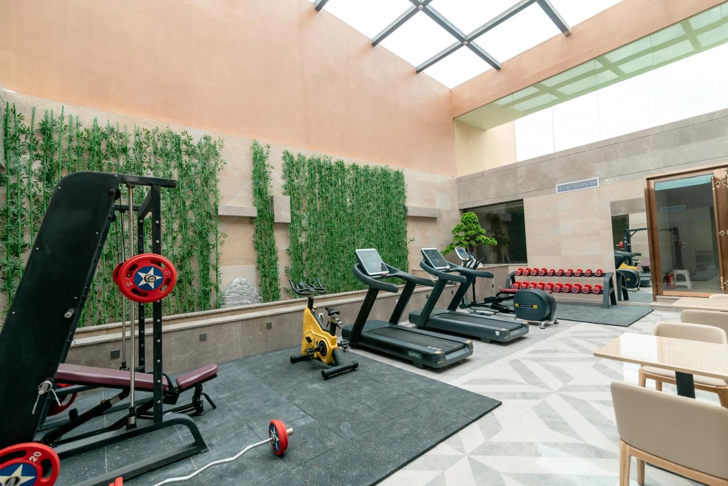 Fitness centre/facilities in ShengDa International Hotel
