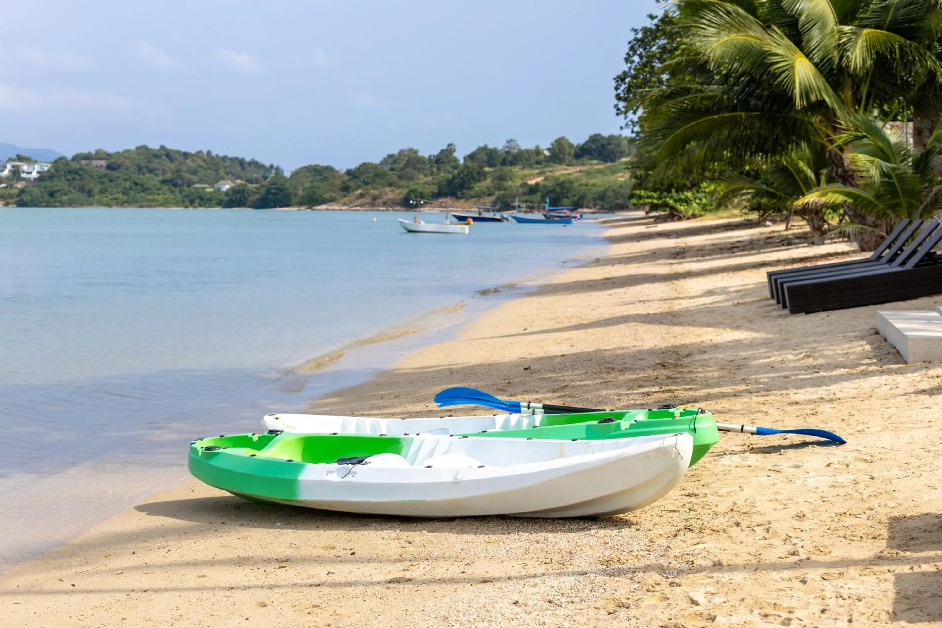 Zaya Beach Club & Resort