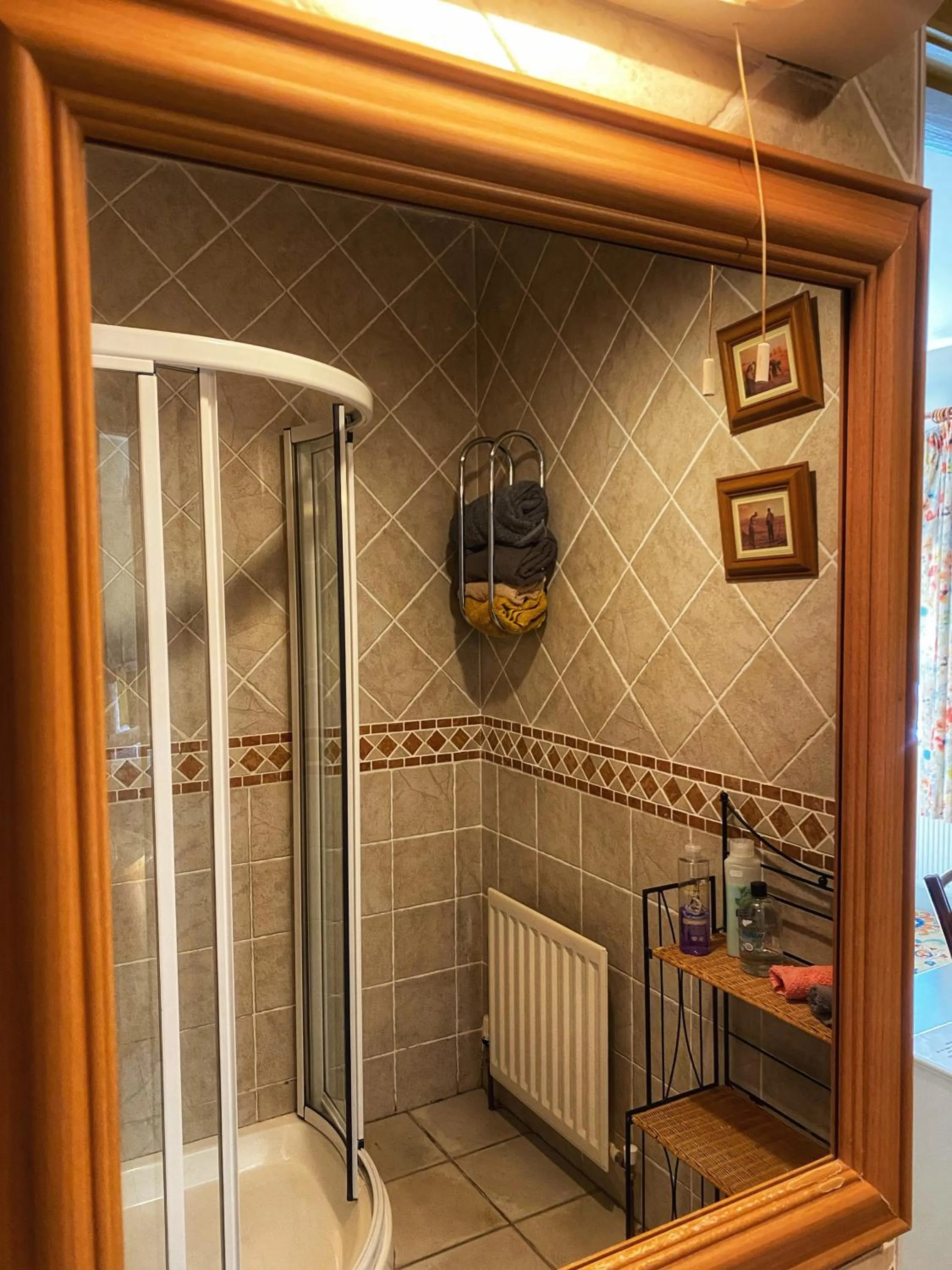 Shower in Dulrush Lodge Guest House, Restaurant and Self-Catering