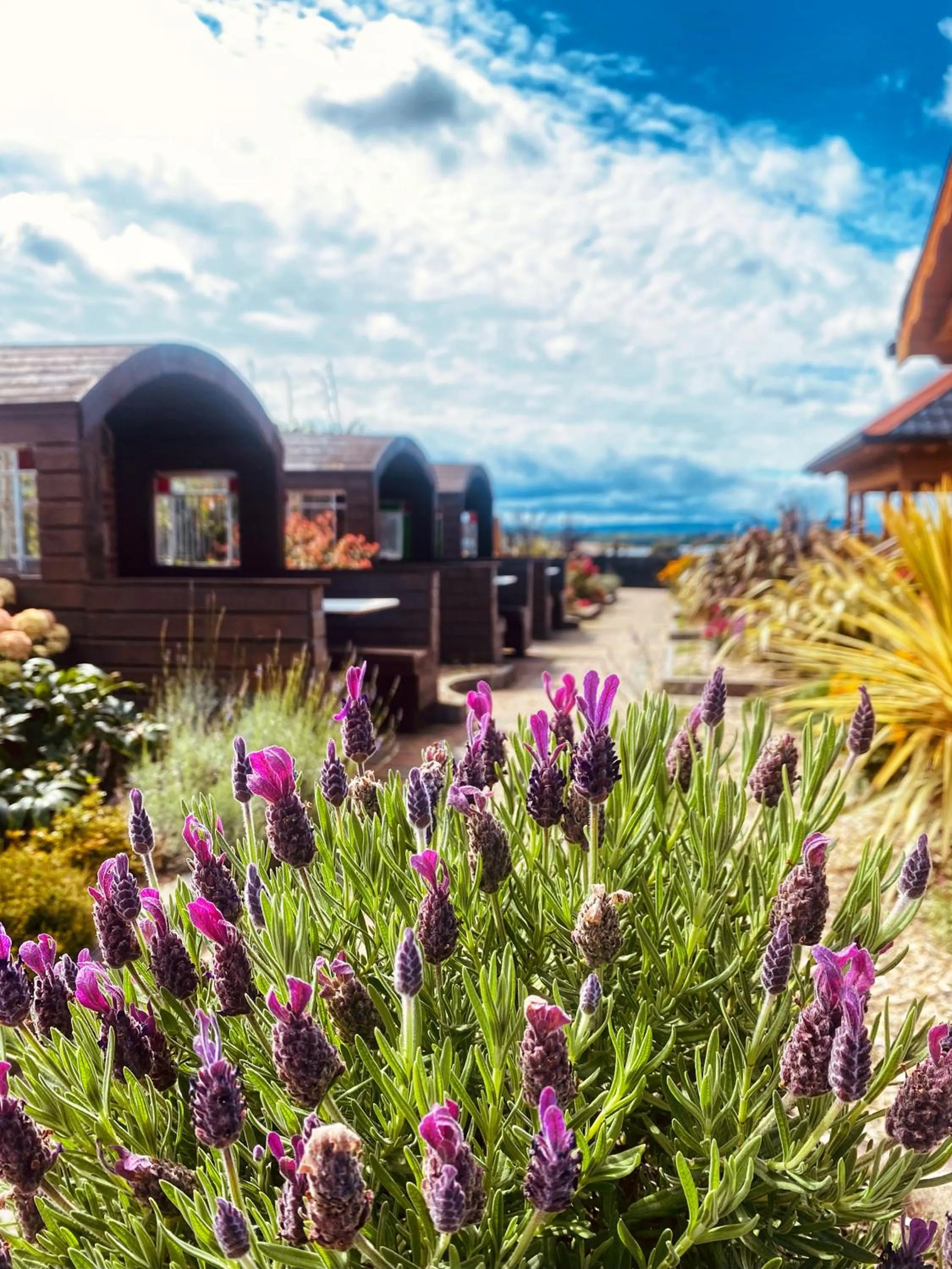 Spring in Dulrush Lodge Guest House, Restaurant and Self-Catering