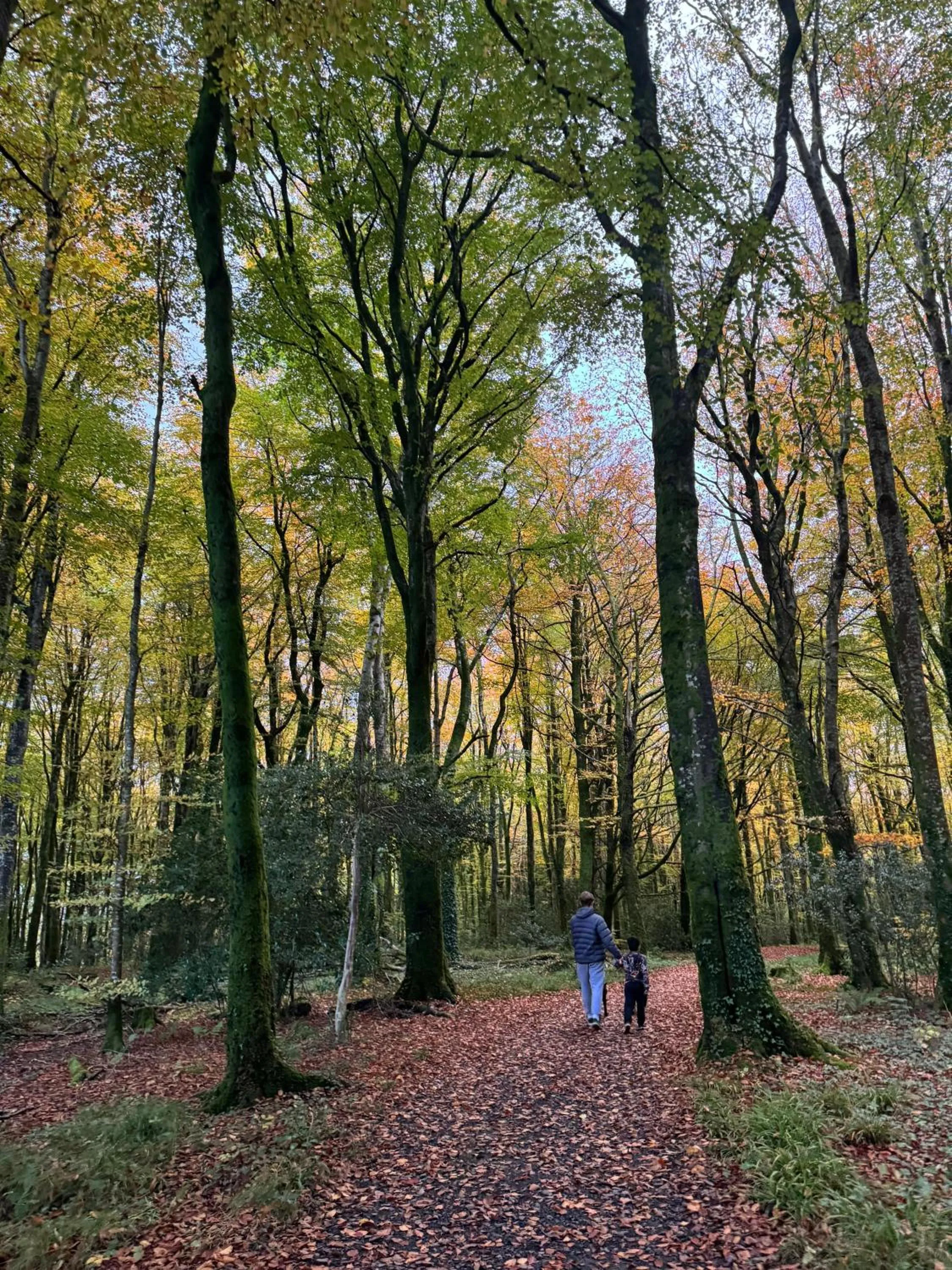 Day in Dulrush Lodge Guest House, Restaurant and Self-Catering